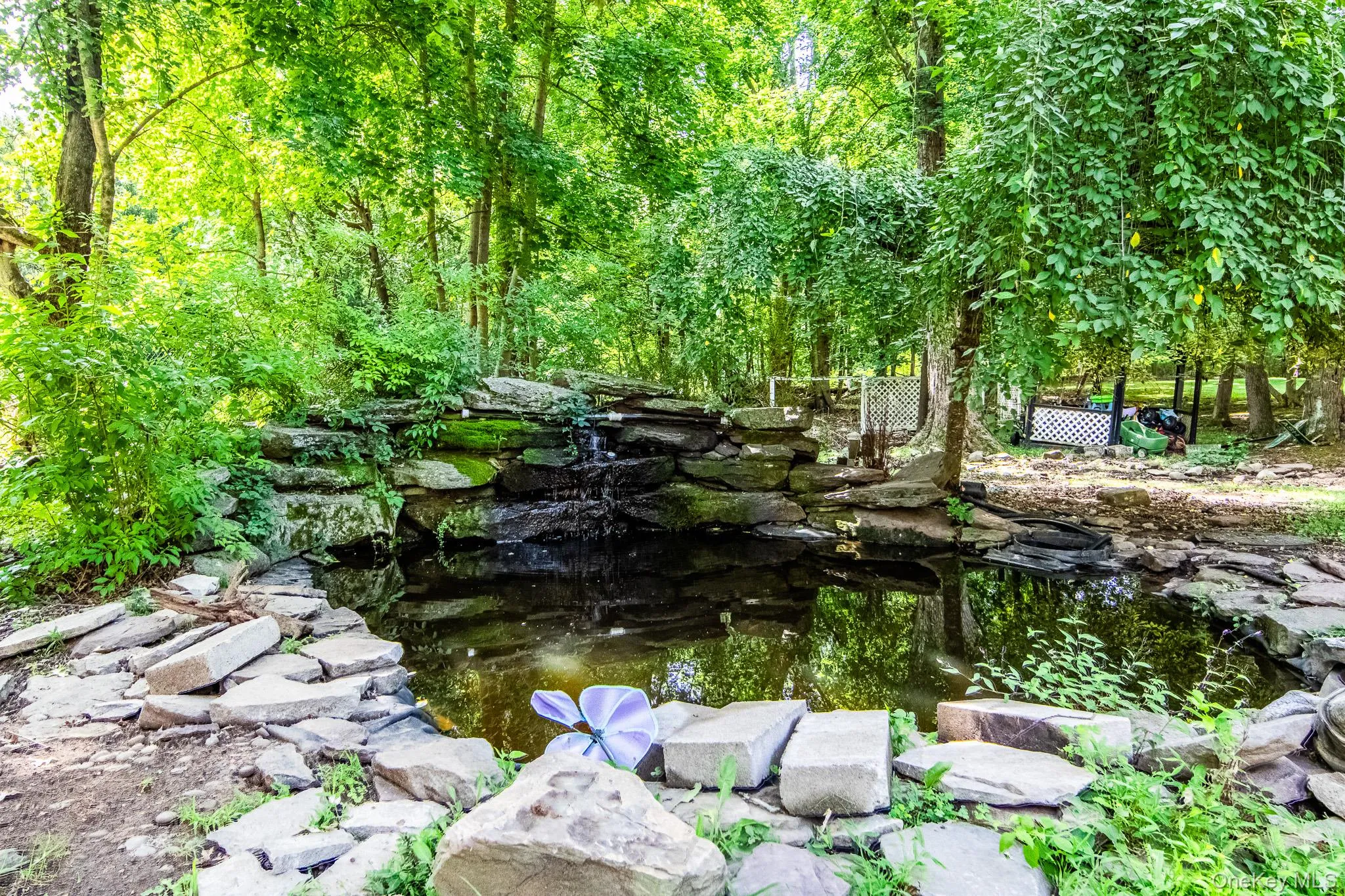 KOI POND KOI POND
