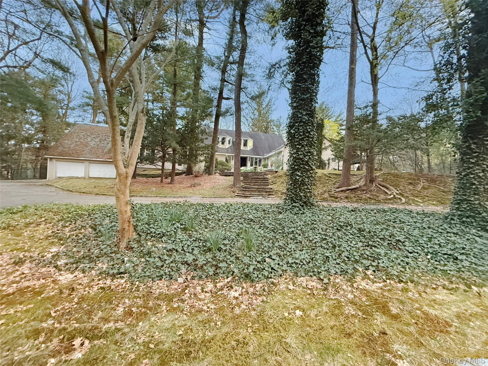 View of yard with a garage and driveway View of yard with a garage and driveway