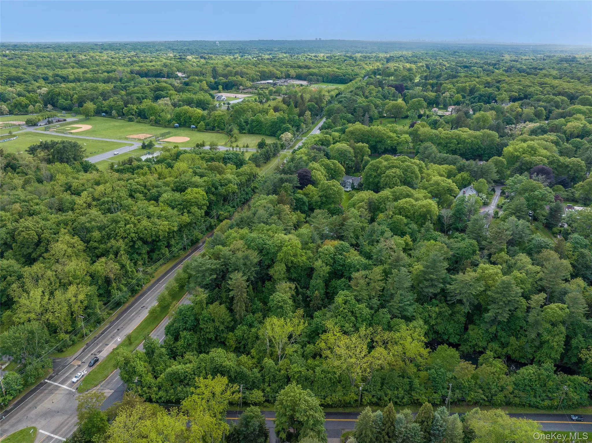 Bird's eye view of a heavily wooded area Bird's eye view of a heavily wooded area