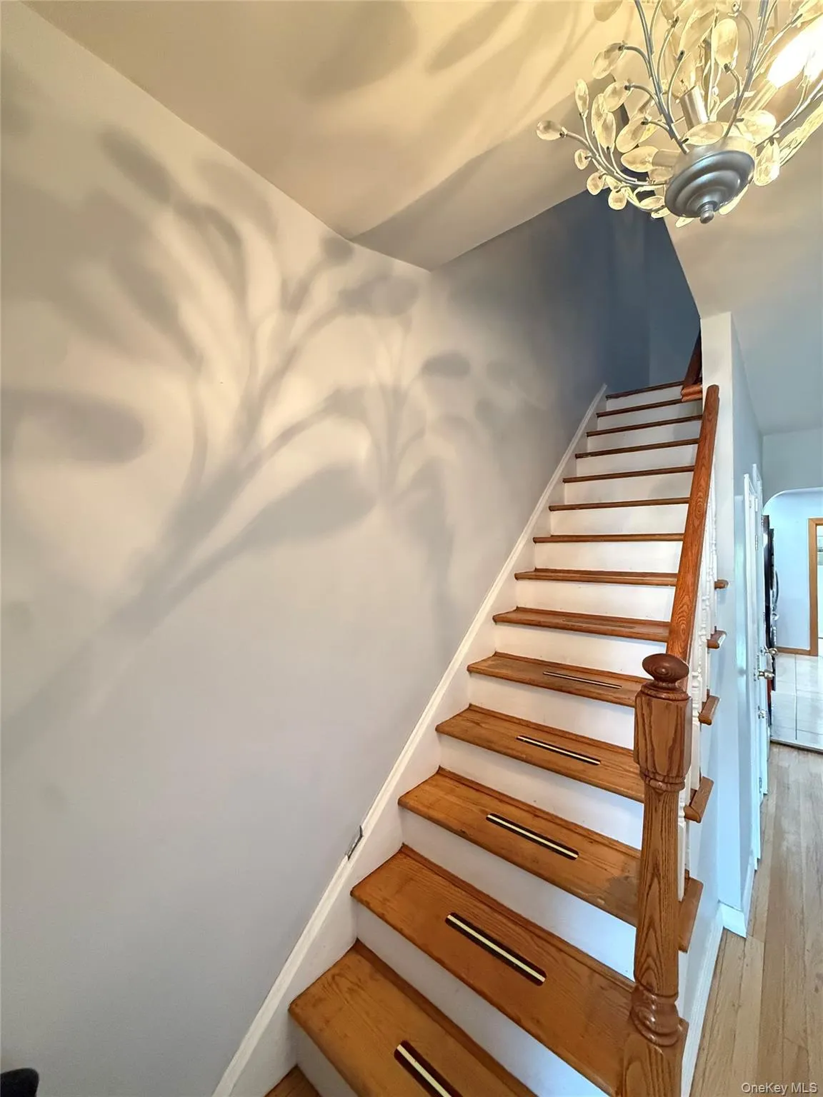 2944 Lurting Avenue, New York, NY, 3 Bedrooms Bedrooms, 8 Rooms Rooms,2 BathroomsBathrooms,Residential,For Rent,Lurting,0,1035533 2944 Lurting Avenue, New York, NY, 3 Bedrooms Bedrooms, 8 Rooms Rooms,2 BathroomsBathrooms,Residential,For Rent,Lurting,0,1035533