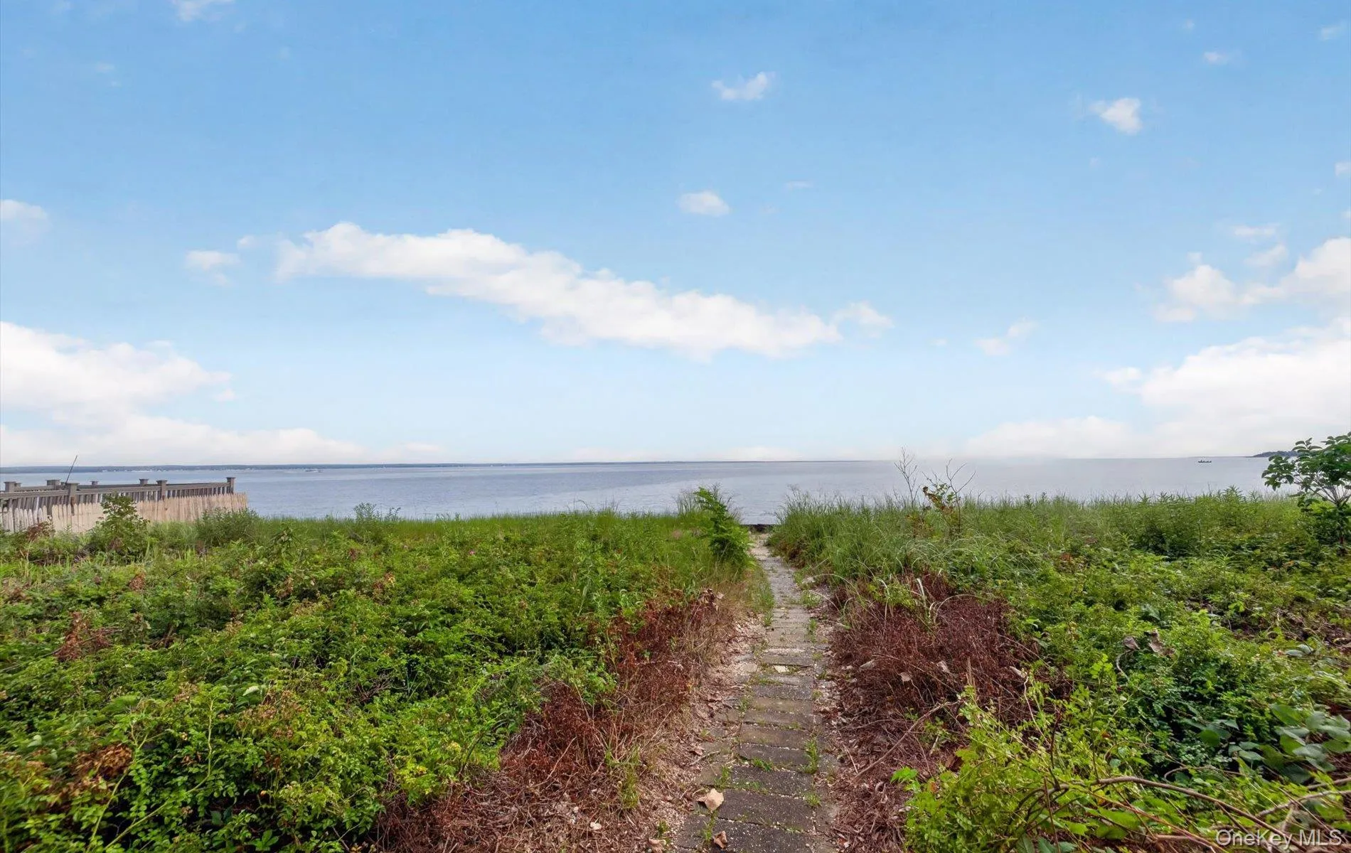 Waterfront expanse with a defined pathway Waterfront expanse with a defined pathway