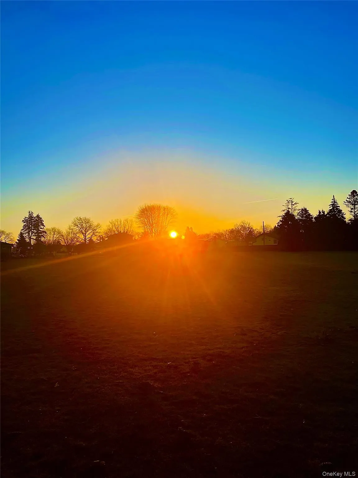 Open field sunrise beyond backyard fence entered via backyard gate! Open field sunrise beyond backyard fence entered via backyard gate!
