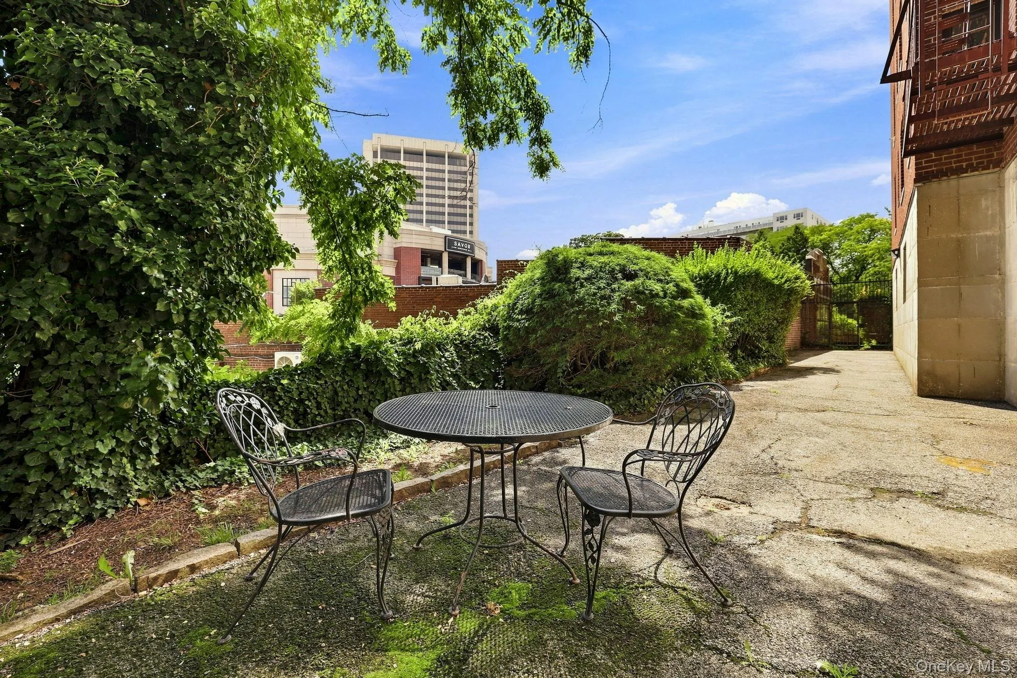 10 Franklin Avenue, White Plains, NY, 1 Bedroom Bedrooms, 3 Rooms Rooms,1 BathroomBathrooms,Residential,For Rent,Franklin,0,1035588 10 Franklin Avenue, White Plains, NY, 1 Bedroom Bedrooms, 3 Rooms Rooms,1 BathroomBathrooms,Residential,For Rent,Franklin,0,1035588