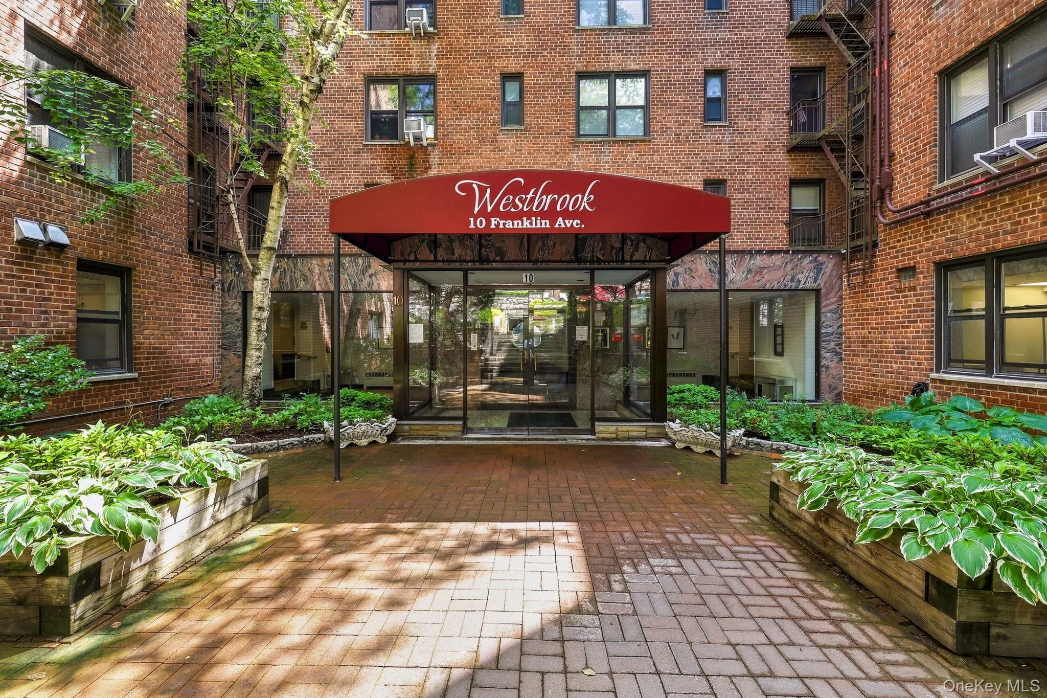 10 Franklin Avenue, White Plains, NY, 1 Bedroom Bedrooms, 3 Rooms Rooms,1 BathroomBathrooms,Residential,For Rent,Franklin,0,1035588 10 Franklin Avenue, White Plains, NY, 1 Bedroom Bedrooms, 3 Rooms Rooms,1 BathroomBathrooms,Residential,For Rent,Franklin,0,1035588
