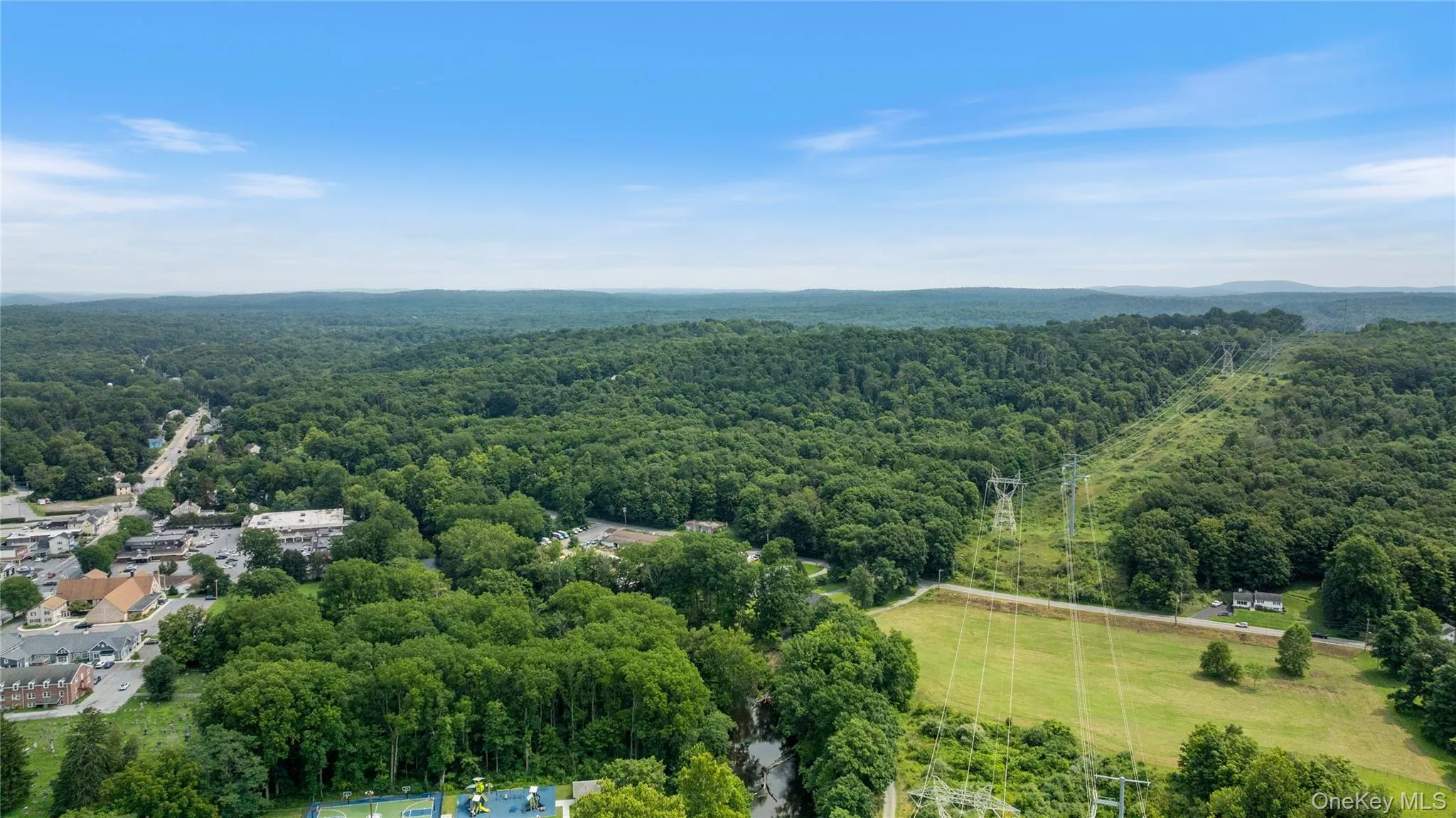 46 South Avenue, Pleasant Valley, NY, ,Land,For Rent,South,0,1035627 46 South Avenue, Pleasant Valley, NY, ,Land,For Rent,South,0,1035627