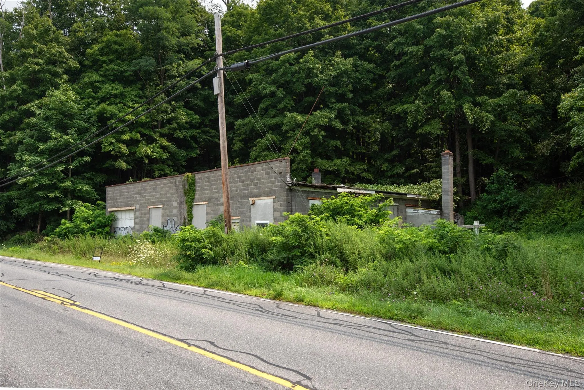 46 South Avenue, Pleasant Valley, NY, ,Land,For Rent,South,0,1035627 46 South Avenue, Pleasant Valley, NY, ,Land,For Rent,South,0,1035627