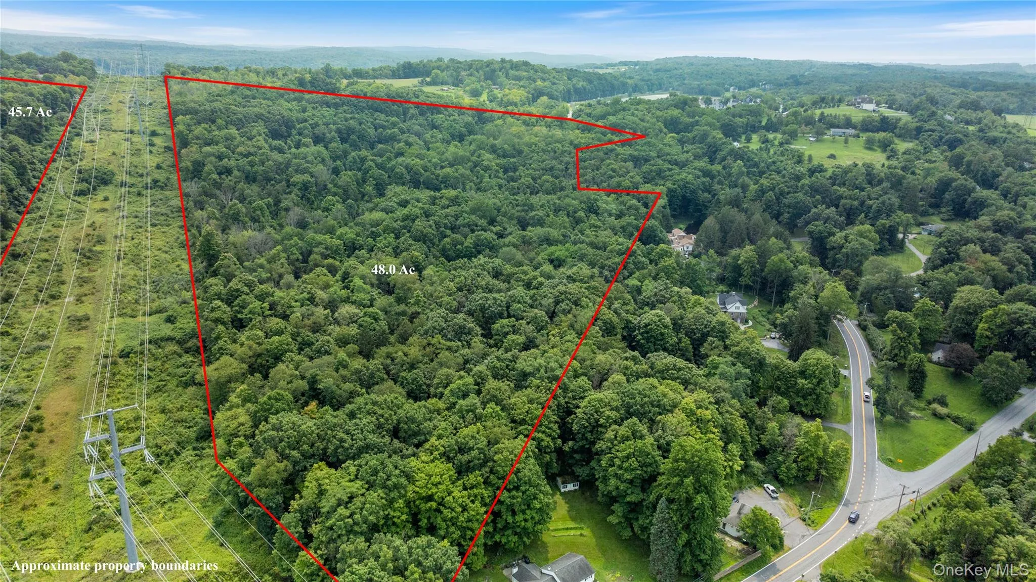 46 South Avenue, Pleasant Valley, NY, ,Land,For Rent,South,0,1035627 46 South Avenue, Pleasant Valley, NY, ,Land,For Rent,South,0,1035627
