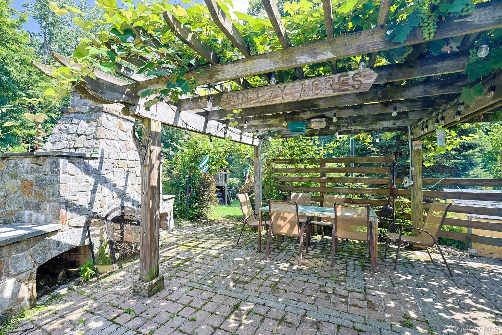 Patio surrounded by grapevines. Patio surrounded by grapevines.