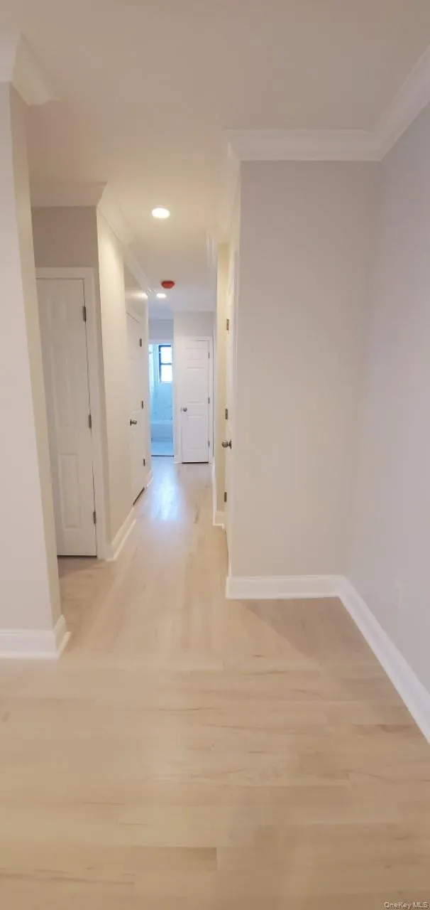 254 Martine Avenue, White Plains, NY, 3 Bedrooms Bedrooms, 4 Rooms Rooms,1 BathroomBathrooms,Residential Lease,For Rent,Martine,0,1035642 254 Martine Avenue, White Plains, NY, 3 Bedrooms Bedrooms, 4 Rooms Rooms,1 BathroomBathrooms,Residential Lease,For Rent,Martine,0,1035642