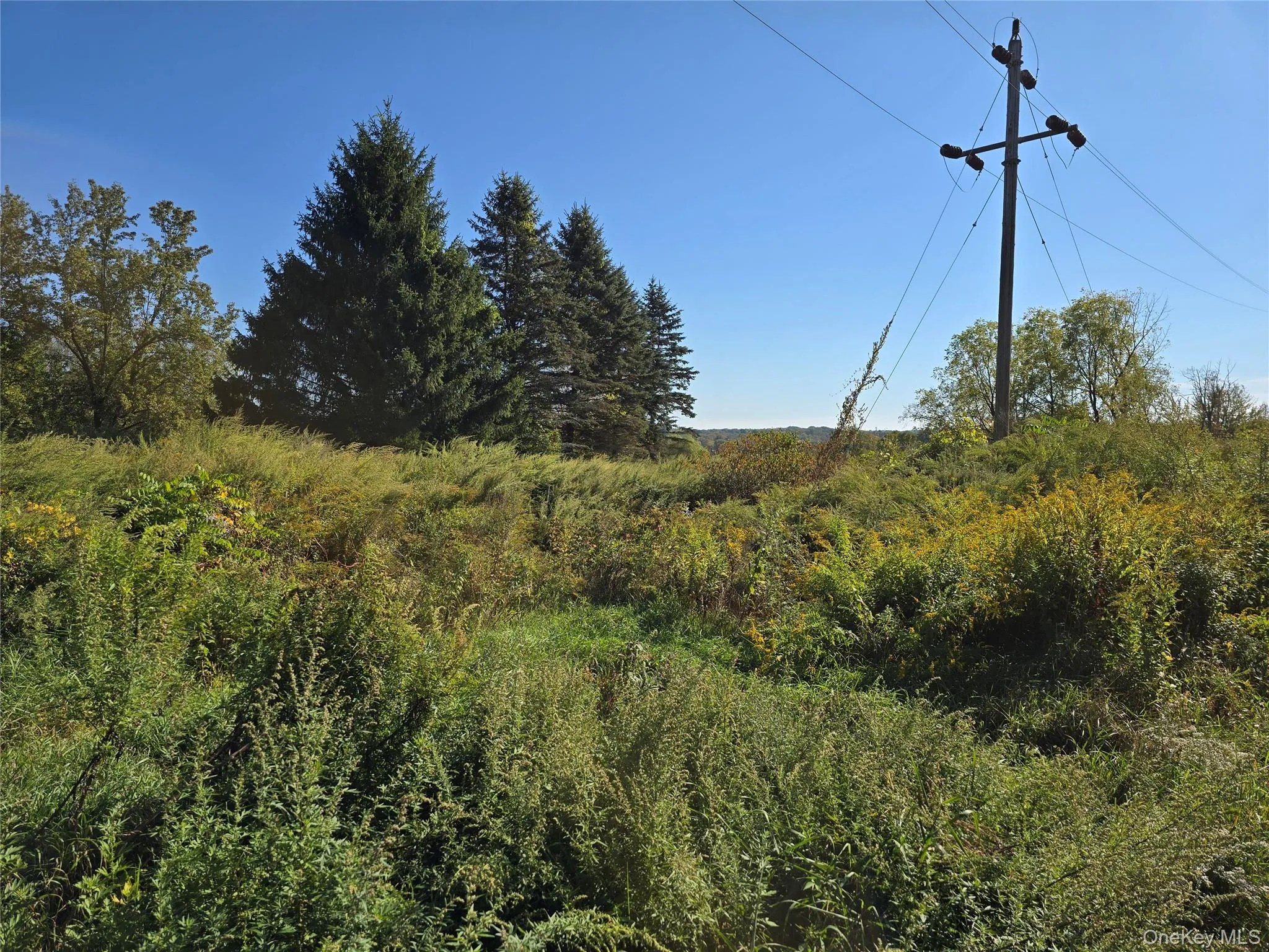 171 Winterton Road, Mamakating, NY, 3 Bedrooms Bedrooms, 6 Rooms Rooms,3 BathroomsBathrooms,Residential,For Rent,Winterton,0,1035660 171 Winterton Road, Mamakating, NY, 3 Bedrooms Bedrooms, 6 Rooms Rooms,3 BathroomsBathrooms,Residential,For Rent,Winterton,0,1035660