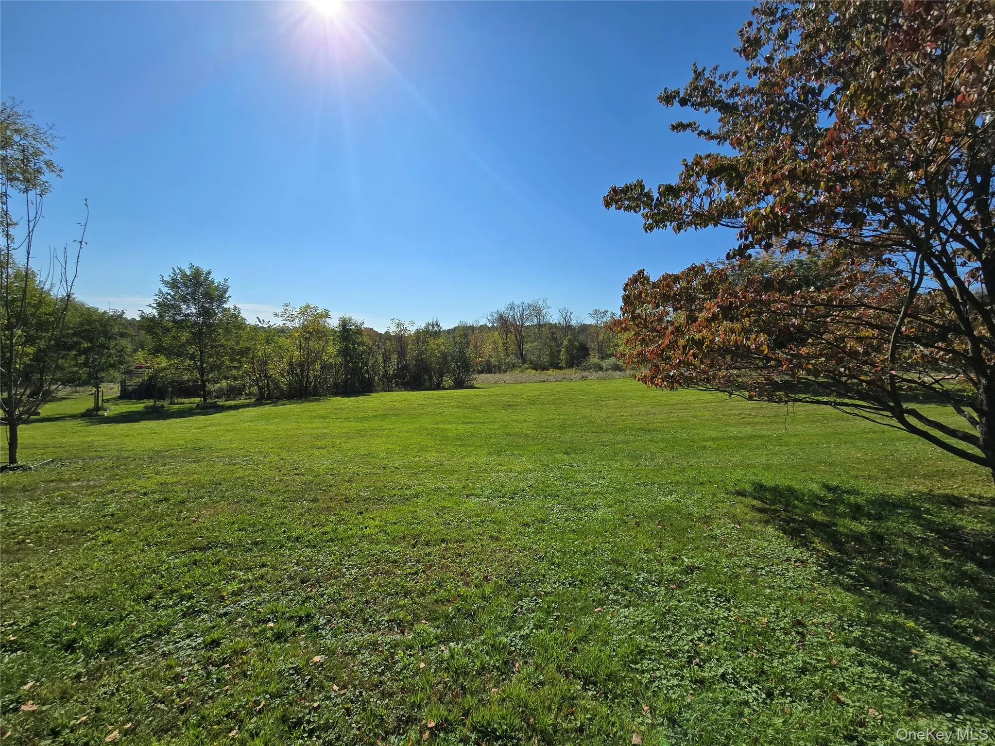 171 Winterton Road, Mamakating, NY, 3 Bedrooms Bedrooms, 6 Rooms Rooms,3 BathroomsBathrooms,Residential,For Rent,Winterton,0,1035660 171 Winterton Road, Mamakating, NY, 3 Bedrooms Bedrooms, 6 Rooms Rooms,3 BathroomsBathrooms,Residential,For Rent,Winterton,0,1035660