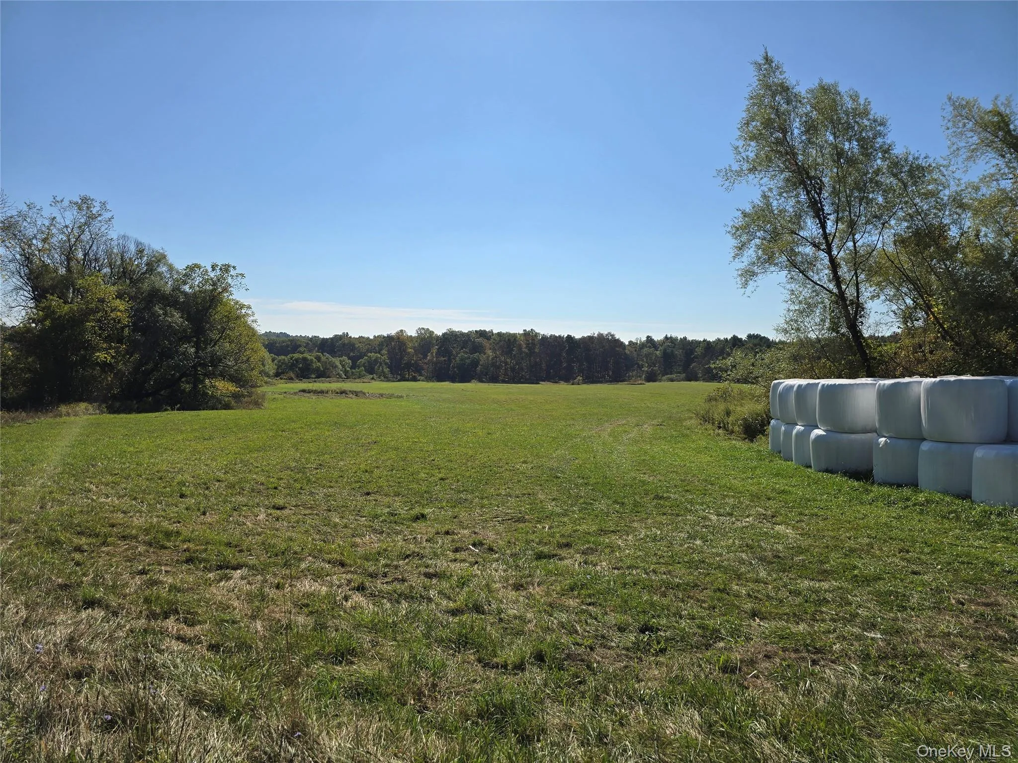 171 Winterton Road, Mamakating, NY, 3 Bedrooms Bedrooms, 6 Rooms Rooms,3 BathroomsBathrooms,Residential,For Rent,Winterton,0,1035660 171 Winterton Road, Mamakating, NY, 3 Bedrooms Bedrooms, 6 Rooms Rooms,3 BathroomsBathrooms,Residential,For Rent,Winterton,0,1035660
