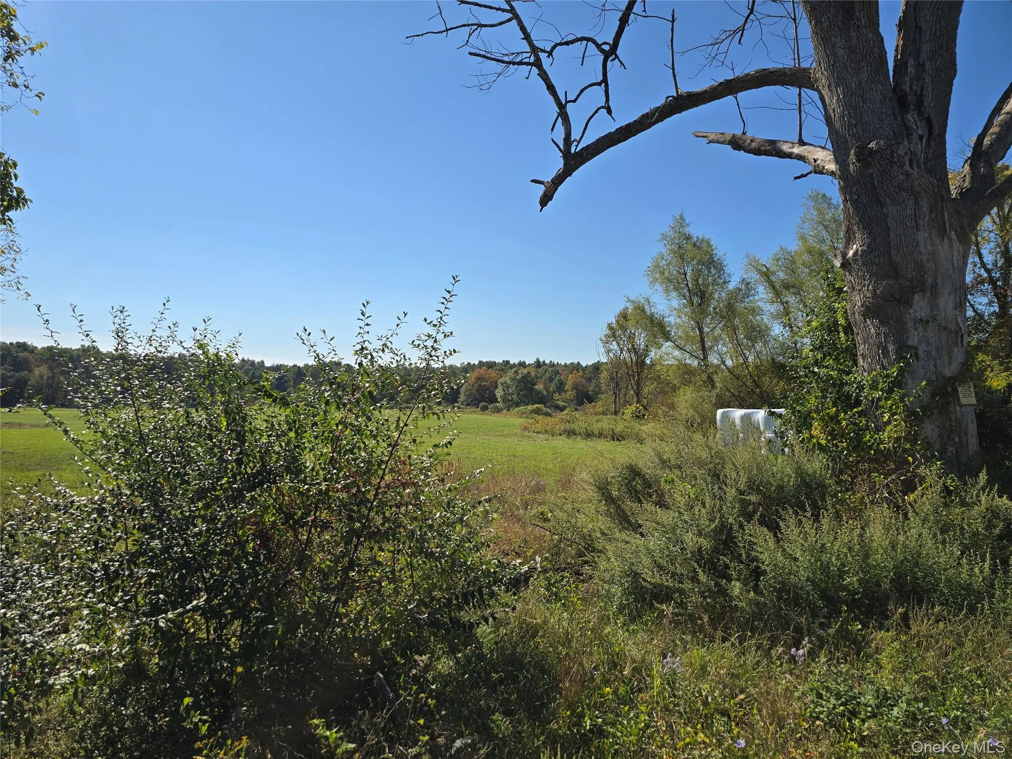 171 Winterton Road, Mamakating, NY, 3 Bedrooms Bedrooms, 6 Rooms Rooms,3 BathroomsBathrooms,Residential,For Rent,Winterton,0,1035660 171 Winterton Road, Mamakating, NY, 3 Bedrooms Bedrooms, 6 Rooms Rooms,3 BathroomsBathrooms,Residential,For Rent,Winterton,0,1035660