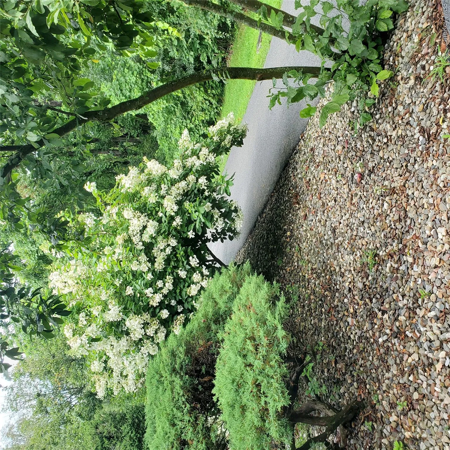 160 West Road, Pleasant Valley, NY, 1 Bedroom Bedrooms, 4 Rooms Rooms,1 BathroomBathrooms,Residential Lease,For Rent,West,0,1035677 160 West Road, Pleasant Valley, NY, 1 Bedroom Bedrooms, 4 Rooms Rooms,1 BathroomBathrooms,Residential Lease,For Rent,West,0,1035677