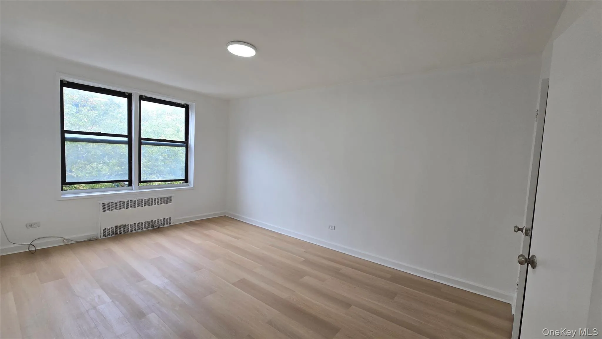 141-60 84th Road, New York, NY, 2 Bedrooms Bedrooms, 4 Rooms Rooms,1 BathroomBathrooms,Residential Lease,For Rent,84th,0,1035698 141-60 84th Road, New York, NY, 2 Bedrooms Bedrooms, 4 Rooms Rooms,1 BathroomBathrooms,Residential Lease,For Rent,84th,0,1035698