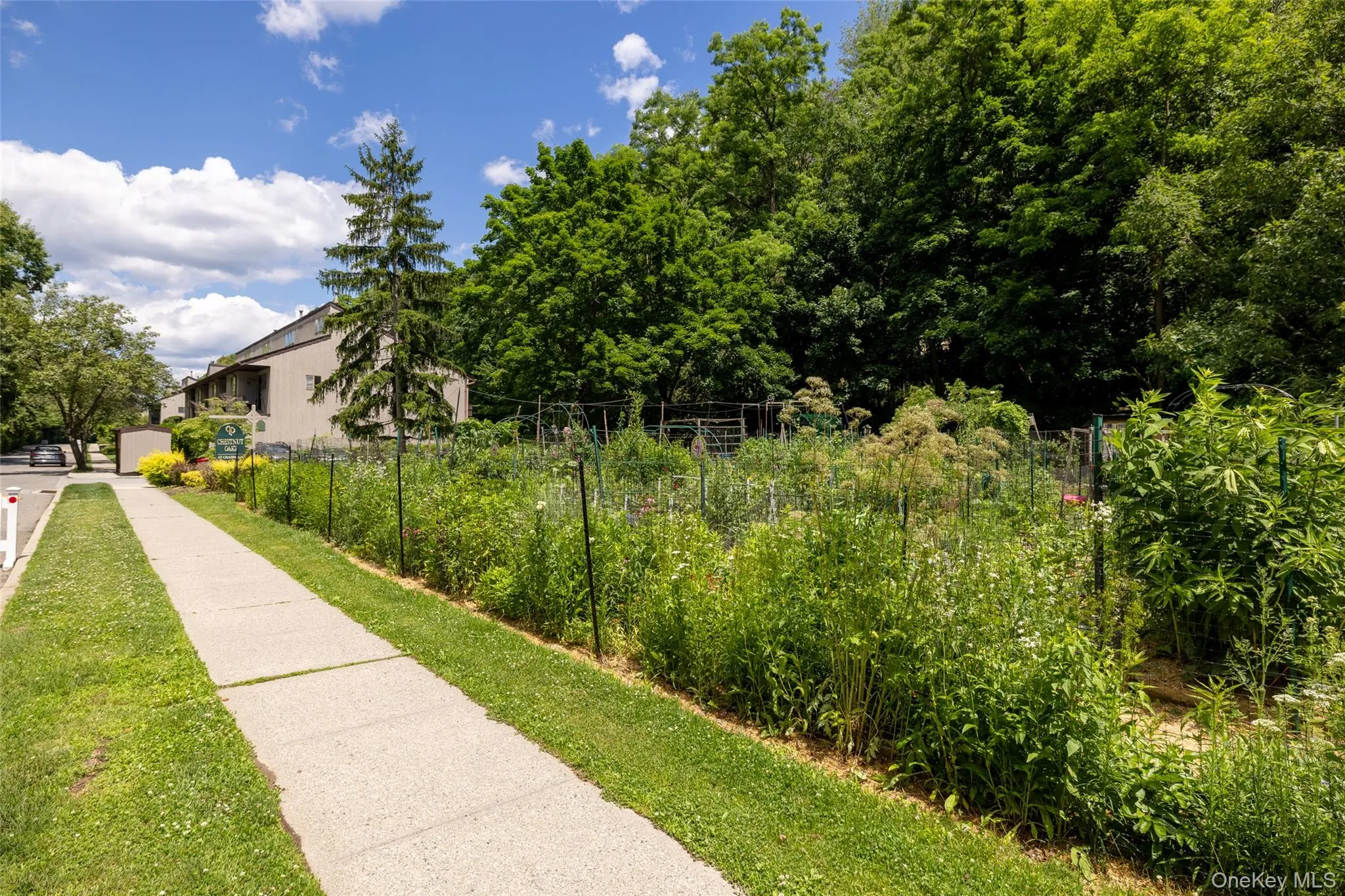 352 Greeley Avenue, New Castle, NY, 1 Bedroom Bedrooms, 4 Rooms Rooms,1 BathroomBathrooms,Residential Lease,For Rent,Greeley,0,1035715 352 Greeley Avenue, New Castle, NY, 1 Bedroom Bedrooms, 4 Rooms Rooms,1 BathroomBathrooms,Residential Lease,For Rent,Greeley,0,1035715