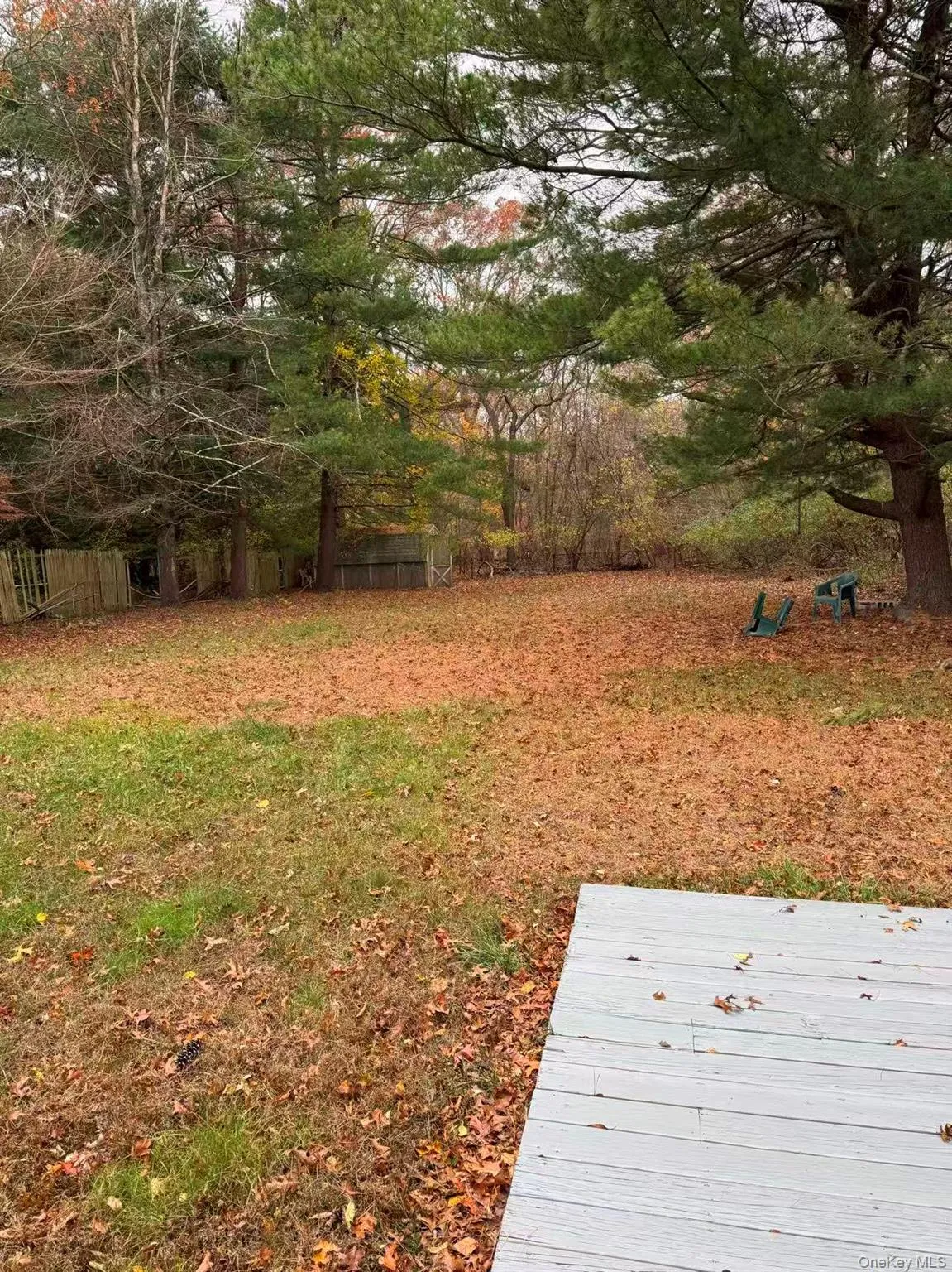 View of yard View of yard