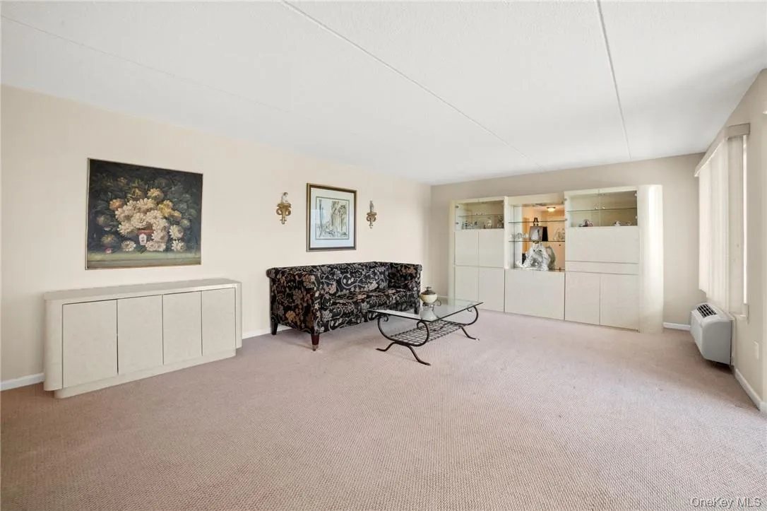 Large Living Room Large Living Room