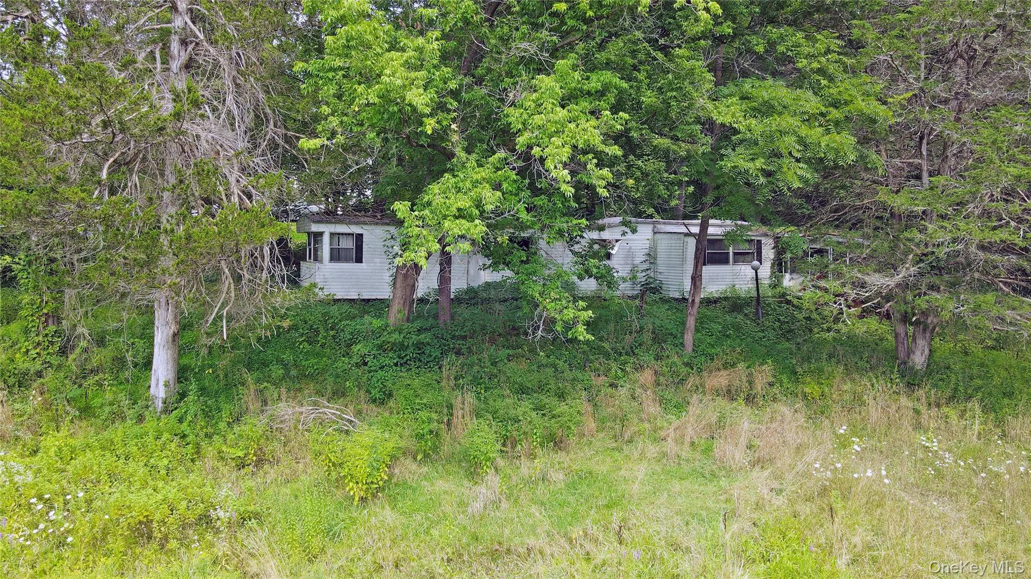 Trailer Trailer