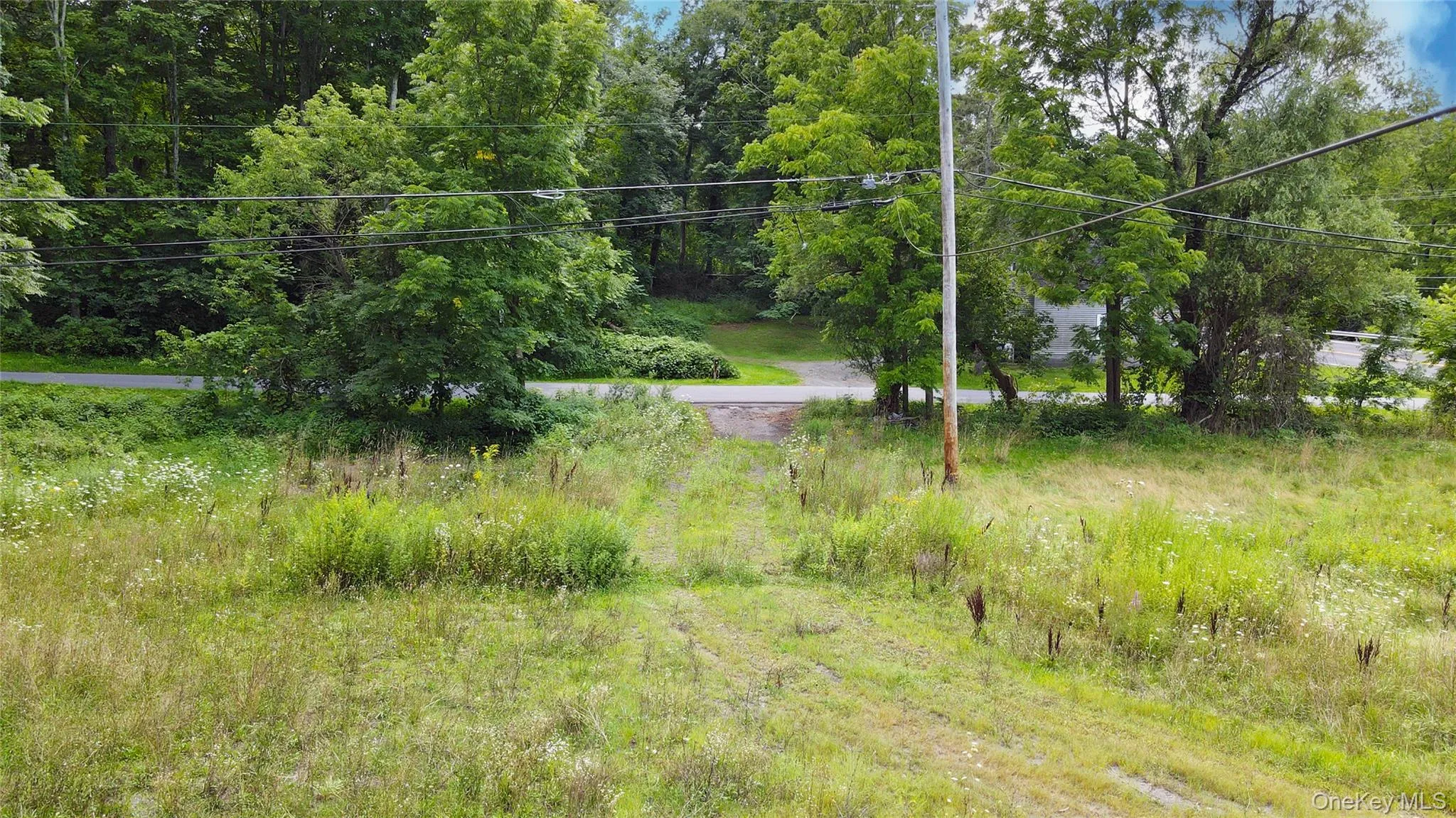 2971 State Route 209, Marbletown, NY, ,Land,For Rent,State Route 209,0,1035769 2971 State Route 209, Marbletown, NY, ,Land,For Rent,State Route 209,0,1035769