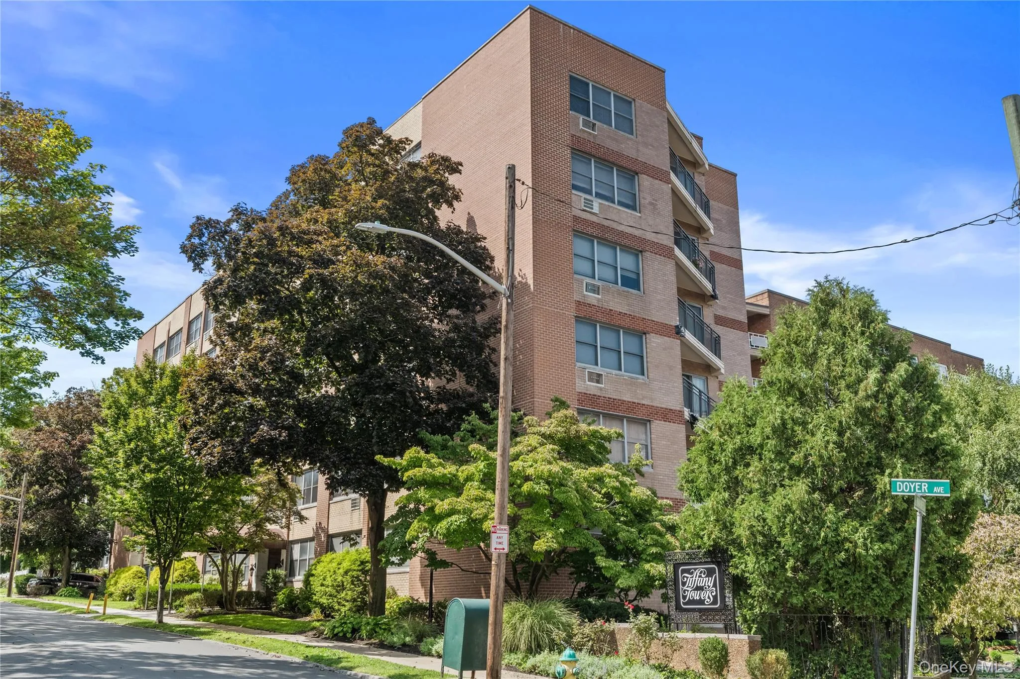 56 Doyer Avenue, White Plains, NY, 1 Bedroom Bedrooms, 3 Rooms Rooms,1 BathroomBathrooms,Residential,For Rent,Doyer,0,1035778 56 Doyer Avenue, White Plains, NY, 1 Bedroom Bedrooms, 3 Rooms Rooms,1 BathroomBathrooms,Residential,For Rent,Doyer,0,1035778