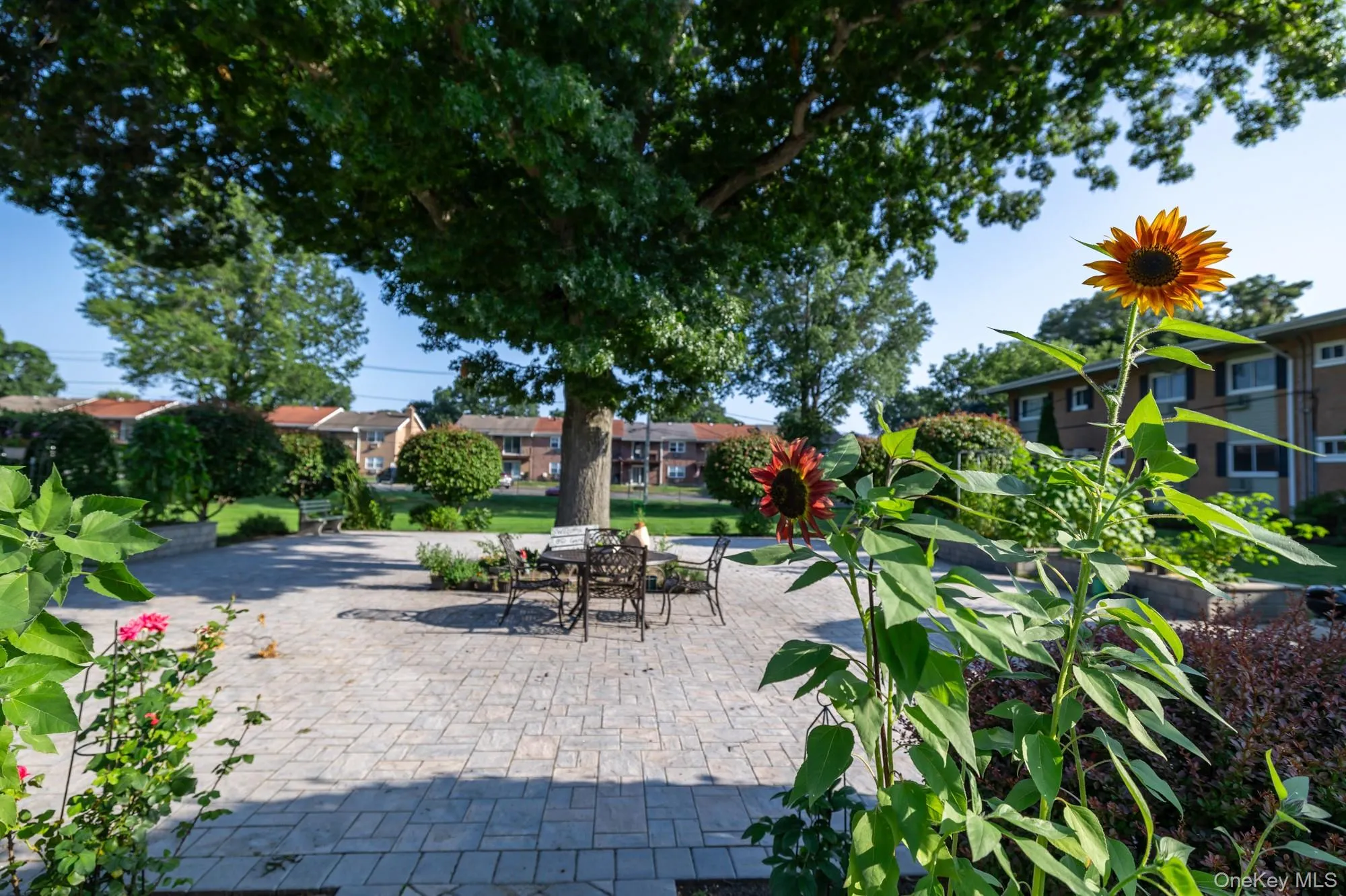 748 Deer Park Avenue, Babylon, NY, 2 Bedrooms Bedrooms, 5 Rooms Rooms,1 BathroomBathrooms,Residential,For Rent,Deer Park,0,1035824 748 Deer Park Avenue, Babylon, NY, 2 Bedrooms Bedrooms, 5 Rooms Rooms,1 BathroomBathrooms,Residential,For Rent,Deer Park,0,1035824