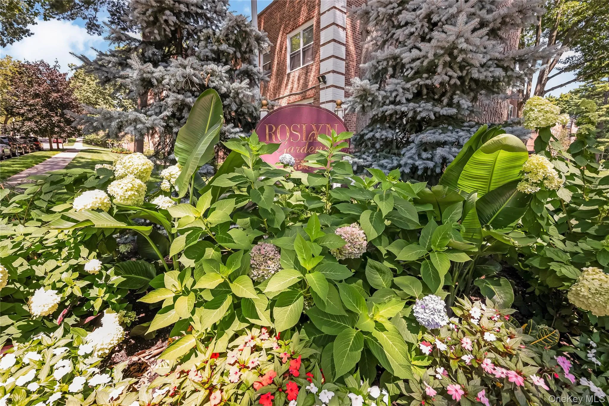 51 Edwards Street, North Hempstead, NY, 1 Bedroom Bedrooms, 4 Rooms Rooms,1 BathroomBathrooms,Residential,For Rent,Edwards,0,1035864 51 Edwards Street, North Hempstead, NY, 1 Bedroom Bedrooms, 4 Rooms Rooms,1 BathroomBathrooms,Residential,For Rent,Edwards,0,1035864