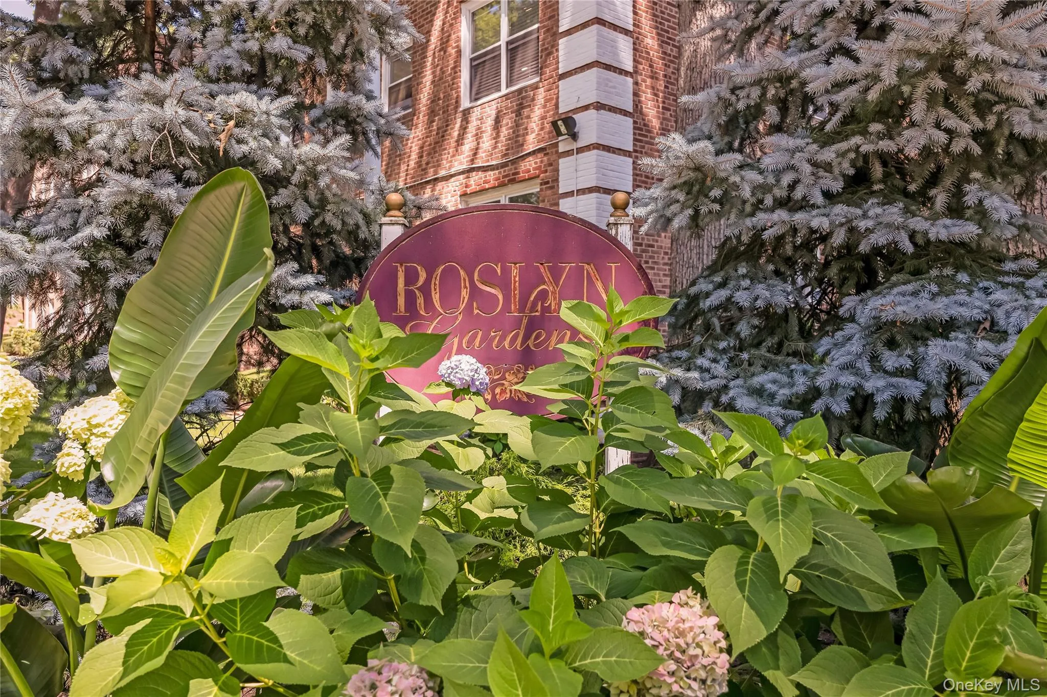 51 Edwards Street, North Hempstead, NY, 1 Bedroom Bedrooms, 4 Rooms Rooms,1 BathroomBathrooms,Residential,For Rent,Edwards,0,1035864 51 Edwards Street, North Hempstead, NY, 1 Bedroom Bedrooms, 4 Rooms Rooms,1 BathroomBathrooms,Residential,For Rent,Edwards,0,1035864