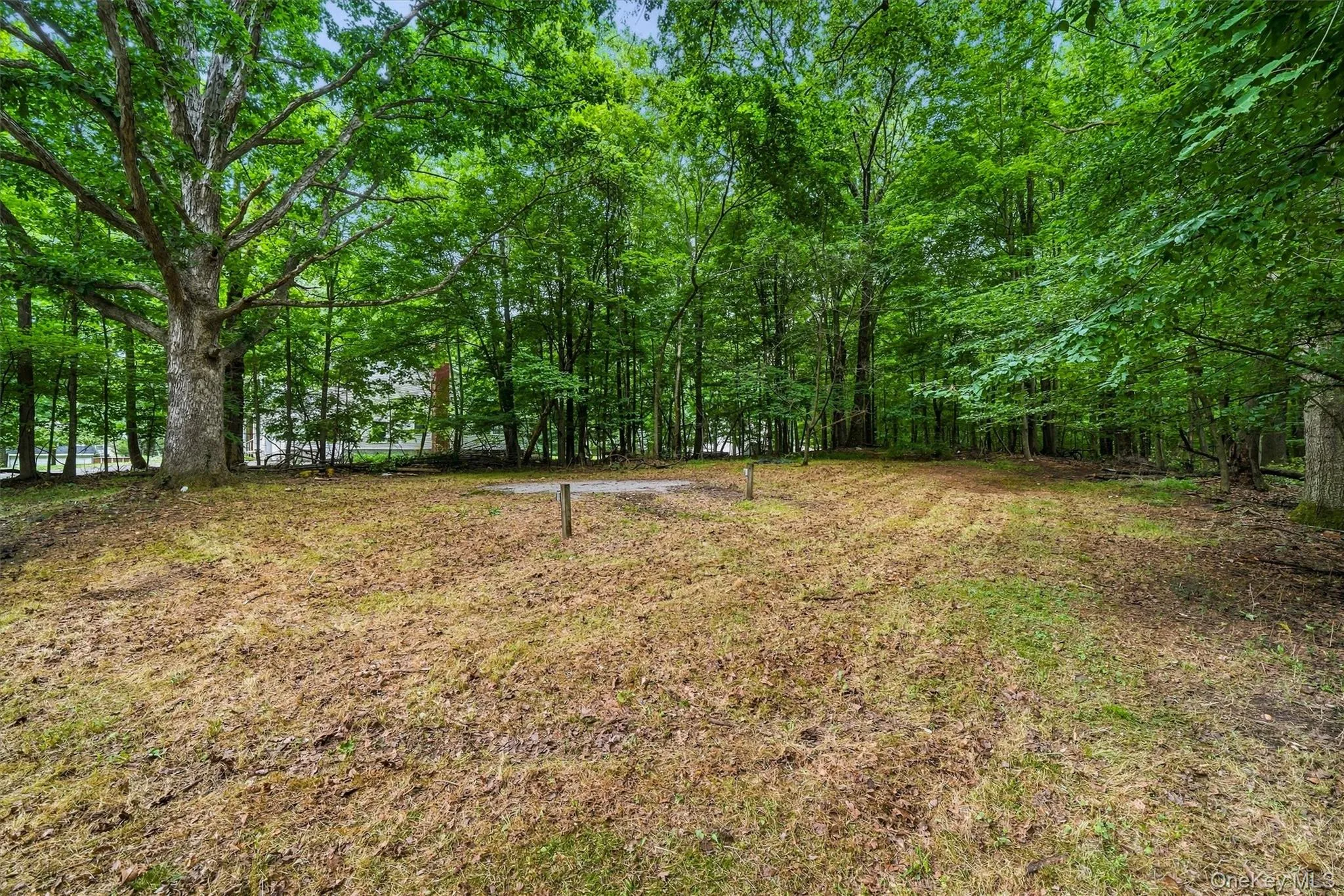 804 Plank Road, Wawayanda, NY, 3 Bedrooms Bedrooms, 10 Rooms Rooms,1 BathroomBathrooms,Residential,For Rent,Plank,0,1035881 804 Plank Road, Wawayanda, NY, 3 Bedrooms Bedrooms, 10 Rooms Rooms,1 BathroomBathrooms,Residential,For Rent,Plank,0,1035881
