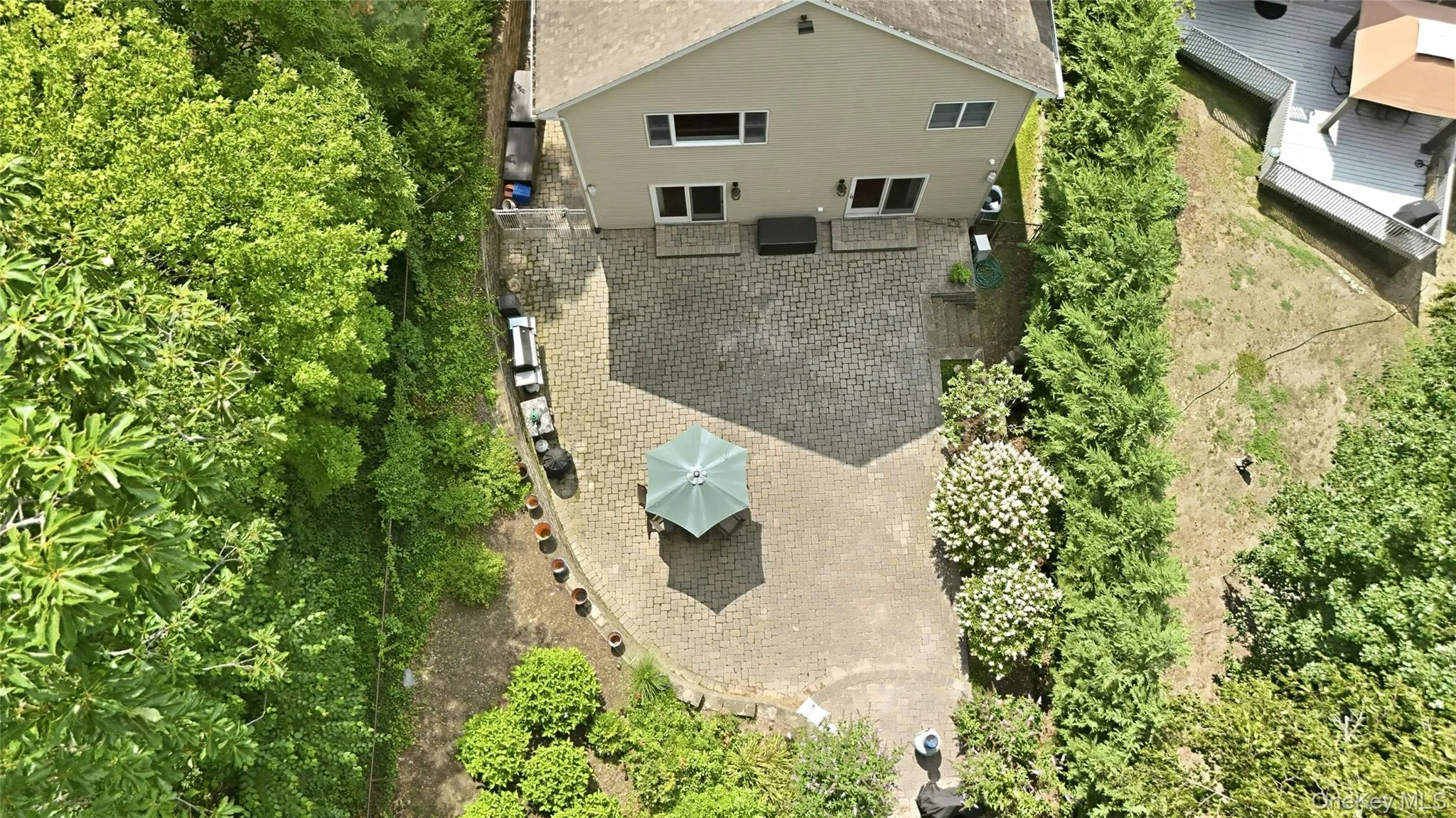 Privacy trees surround your backyard oasis Privacy trees surround your backyard oasis