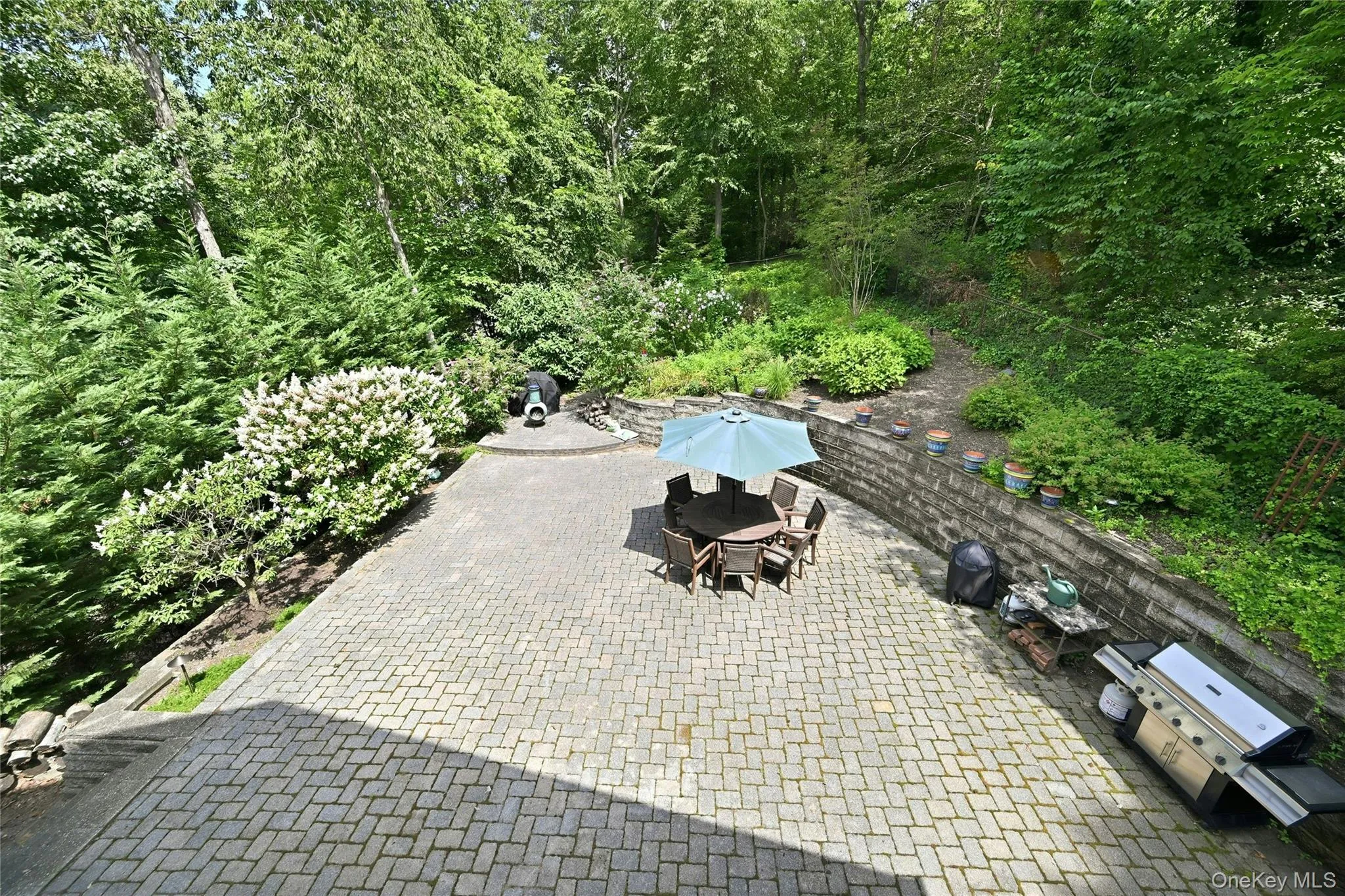 View of backyard from Primary Suite View of backyard from Primary Suite