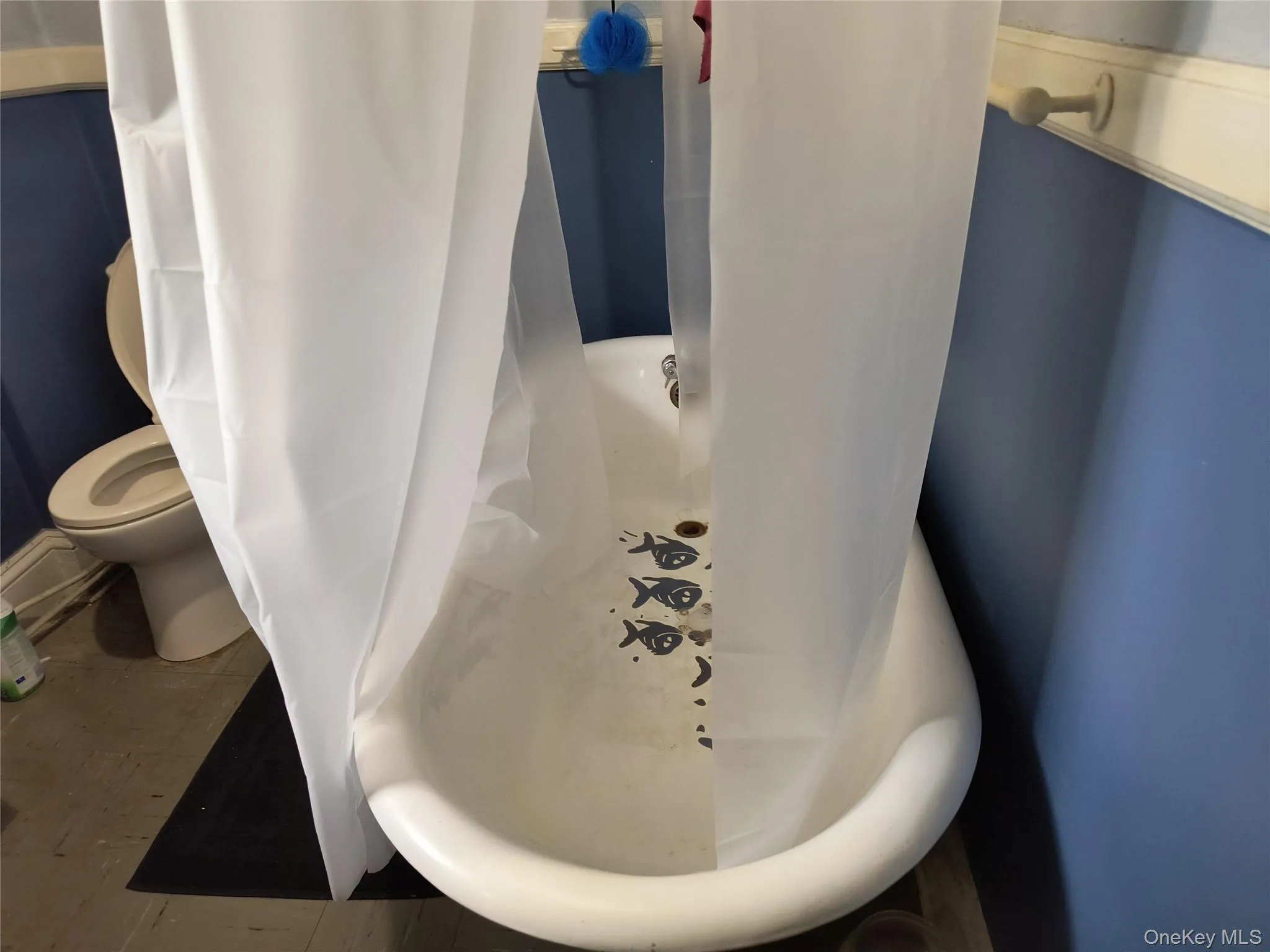 Original Claw-foot tub! Original Claw-foot tub!