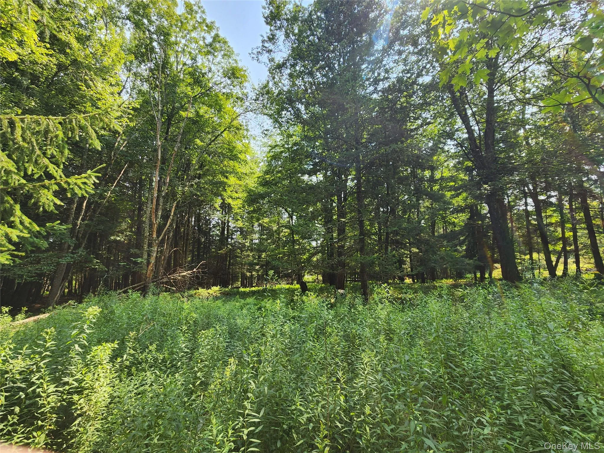 Soule Road, Bethel, NY, ,Land,For Rent,Soule,0,1035950 Soule Road, Bethel, NY, ,Land,For Rent,Soule,0,1035950