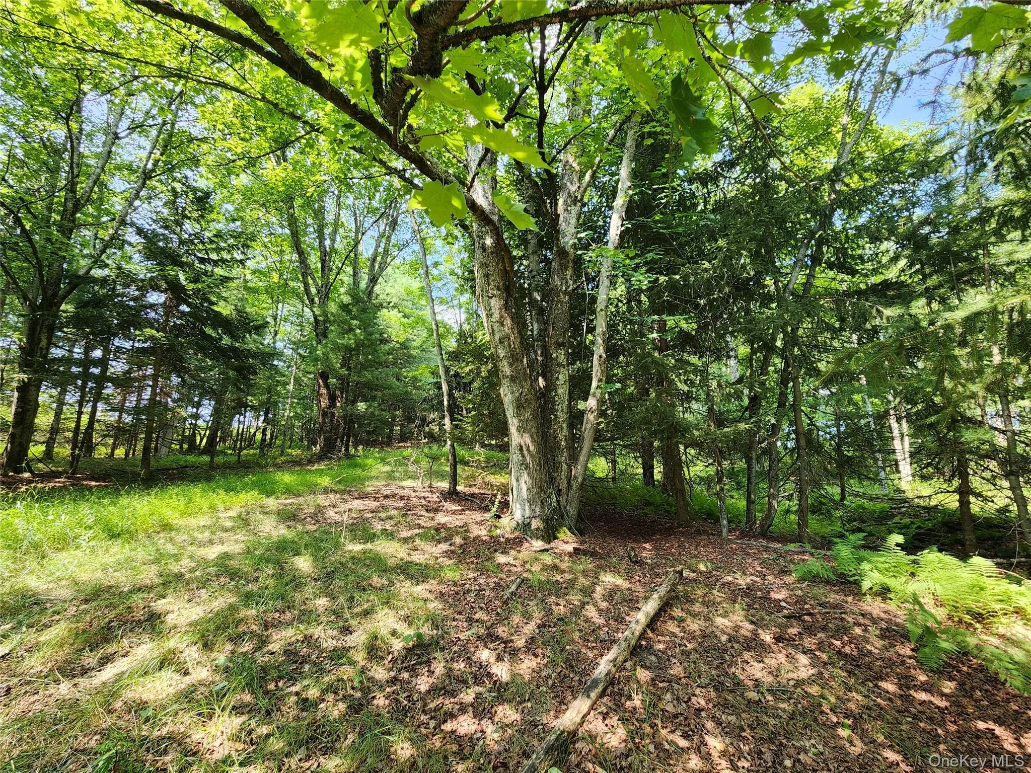 Soule Road, Bethel, NY, ,Land,For Rent,Soule,0,1035950 Soule Road, Bethel, NY, ,Land,For Rent,Soule,0,1035950