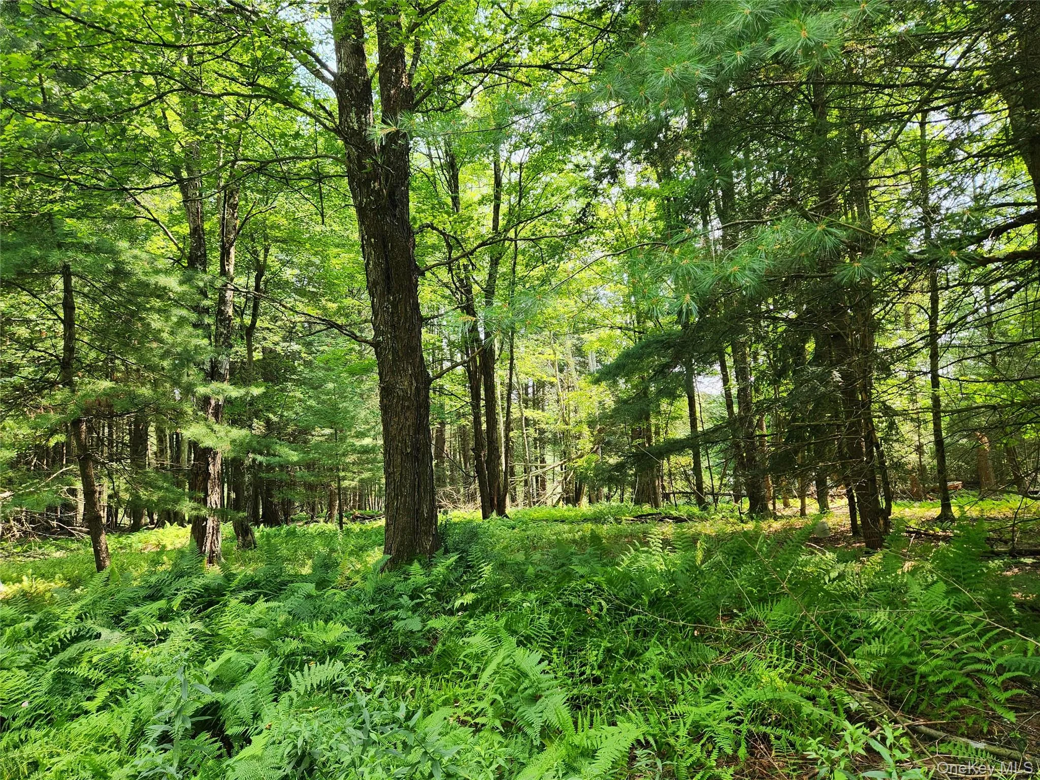 Soule Road, Bethel, NY, ,Land,For Rent,Soule,0,1035950 Soule Road, Bethel, NY, ,Land,For Rent,Soule,0,1035950