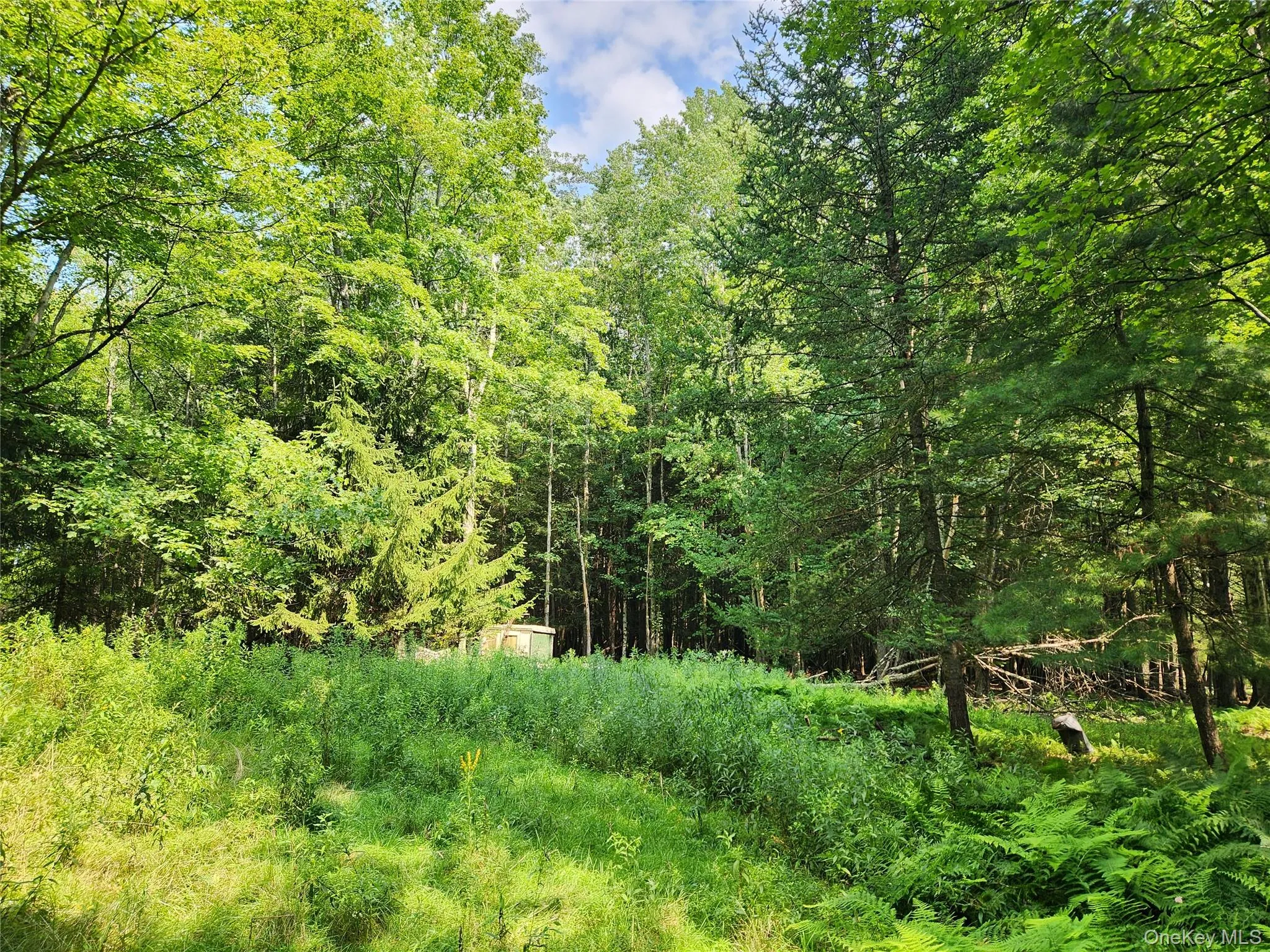 Soule Road, Bethel, NY, ,Land,For Rent,Soule,0,1035950 Soule Road, Bethel, NY, ,Land,For Rent,Soule,0,1035950