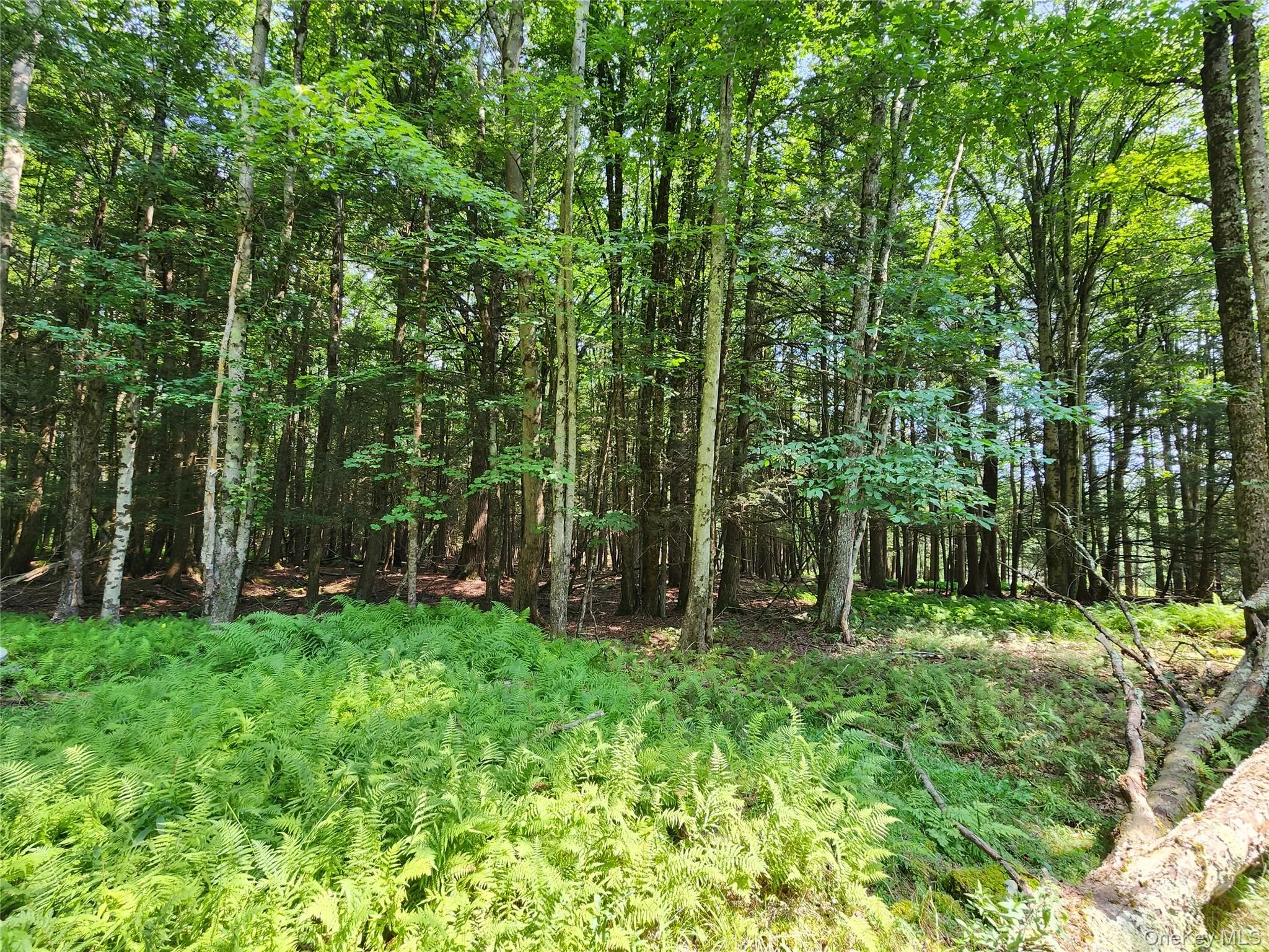 Soule Road, Bethel, NY, ,Land,For Rent,Soule,0,1035950 Soule Road, Bethel, NY, ,Land,For Rent,Soule,0,1035950