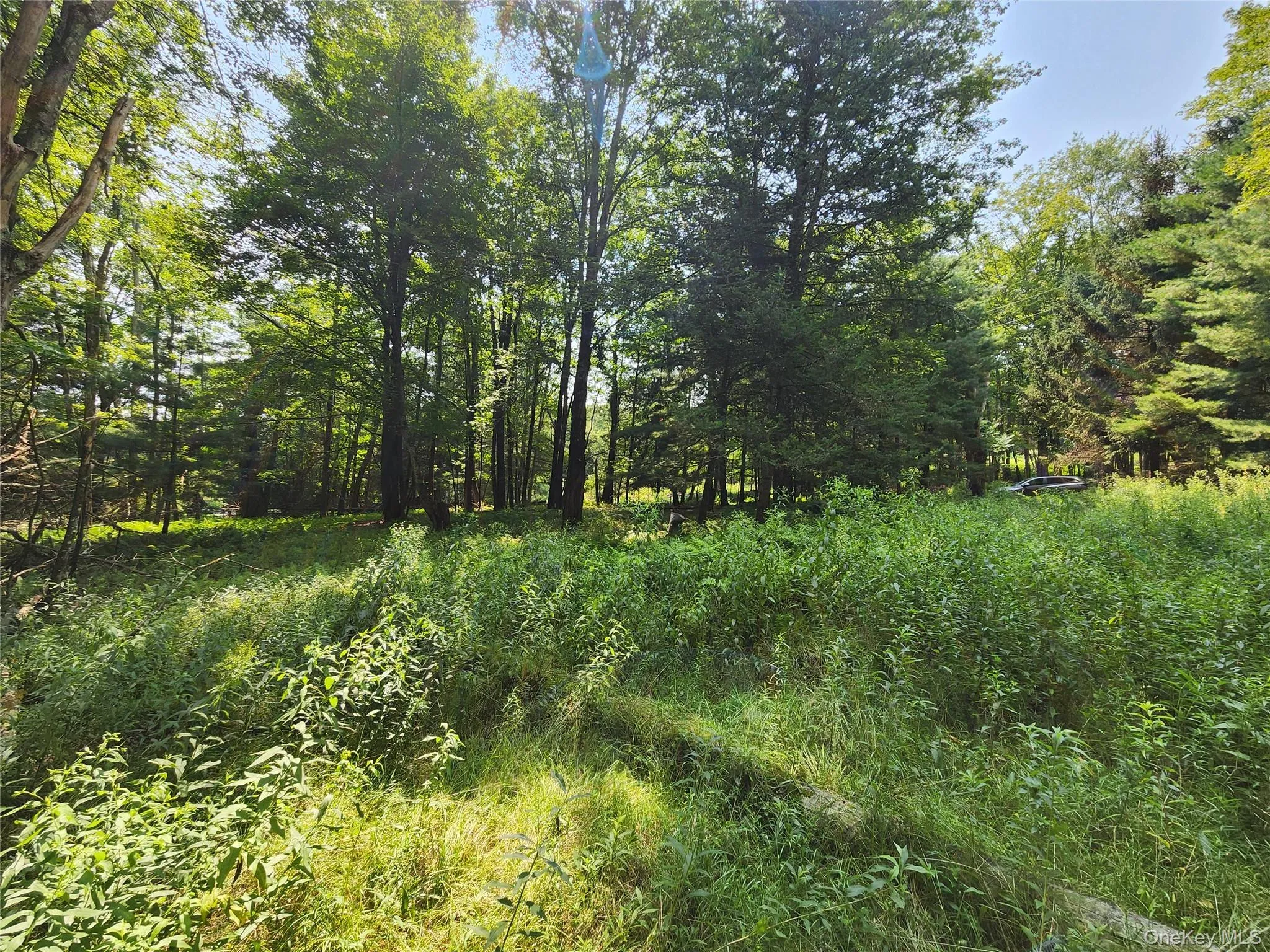 Soule Road, Bethel, NY, ,Land,For Rent,Soule,0,1035950 Soule Road, Bethel, NY, ,Land,For Rent,Soule,0,1035950
