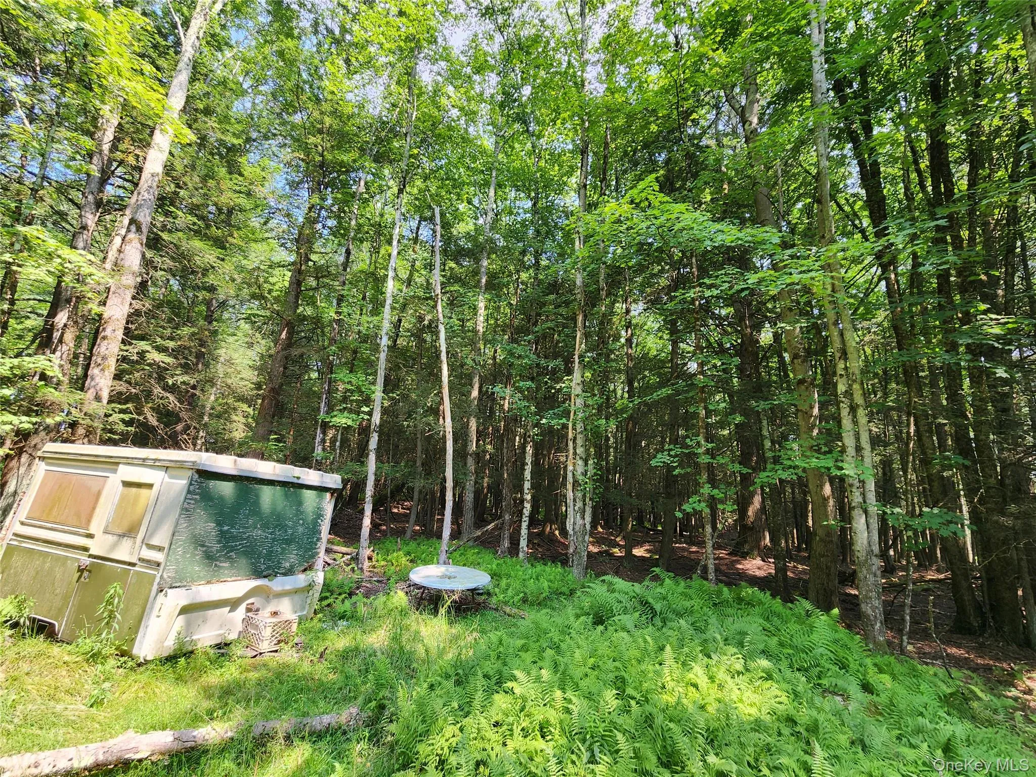 Soule Road, Bethel, NY, ,Land,For Rent,Soule,0,1035950 Soule Road, Bethel, NY, ,Land,For Rent,Soule,0,1035950