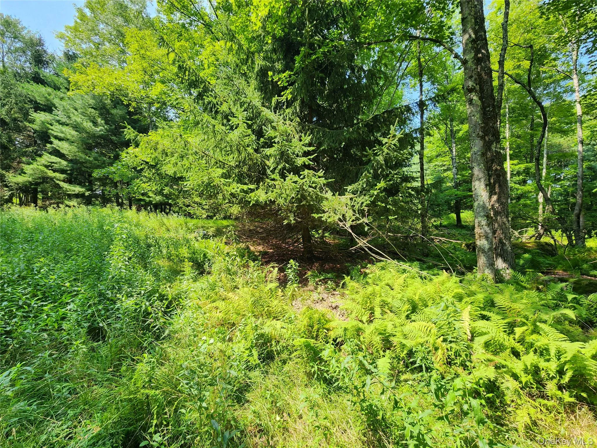 Soule Road, Bethel, NY, ,Land,For Rent,Soule,0,1035950 Soule Road, Bethel, NY, ,Land,For Rent,Soule,0,1035950