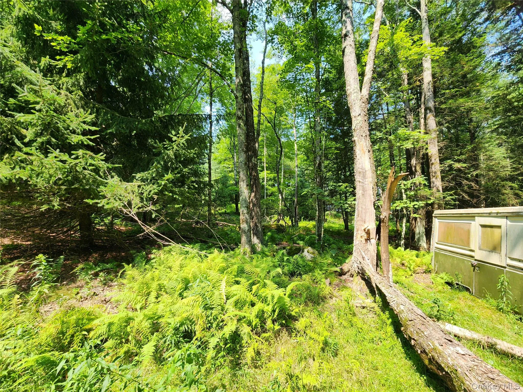 Soule Road, Bethel, NY, ,Land,For Rent,Soule,0,1035950 Soule Road, Bethel, NY, ,Land,For Rent,Soule,0,1035950