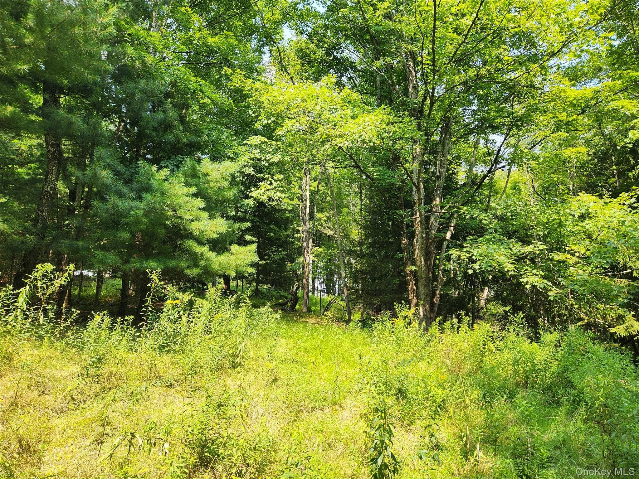 Soule Road, Bethel, NY, ,Land,For Rent,Soule,0,1035950 Soule Road, Bethel, NY, ,Land,For Rent,Soule,0,1035950