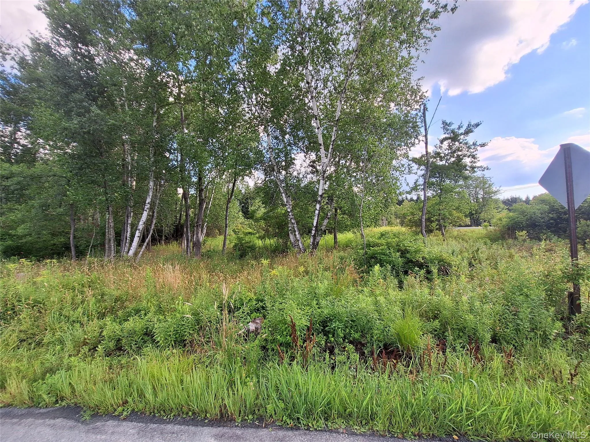 Burnt Ridge Road, Fallsburg, NY, ,Land,For Rent,Burnt Ridge,0,1035980 Burnt Ridge Road, Fallsburg, NY, ,Land,For Rent,Burnt Ridge,0,1035980