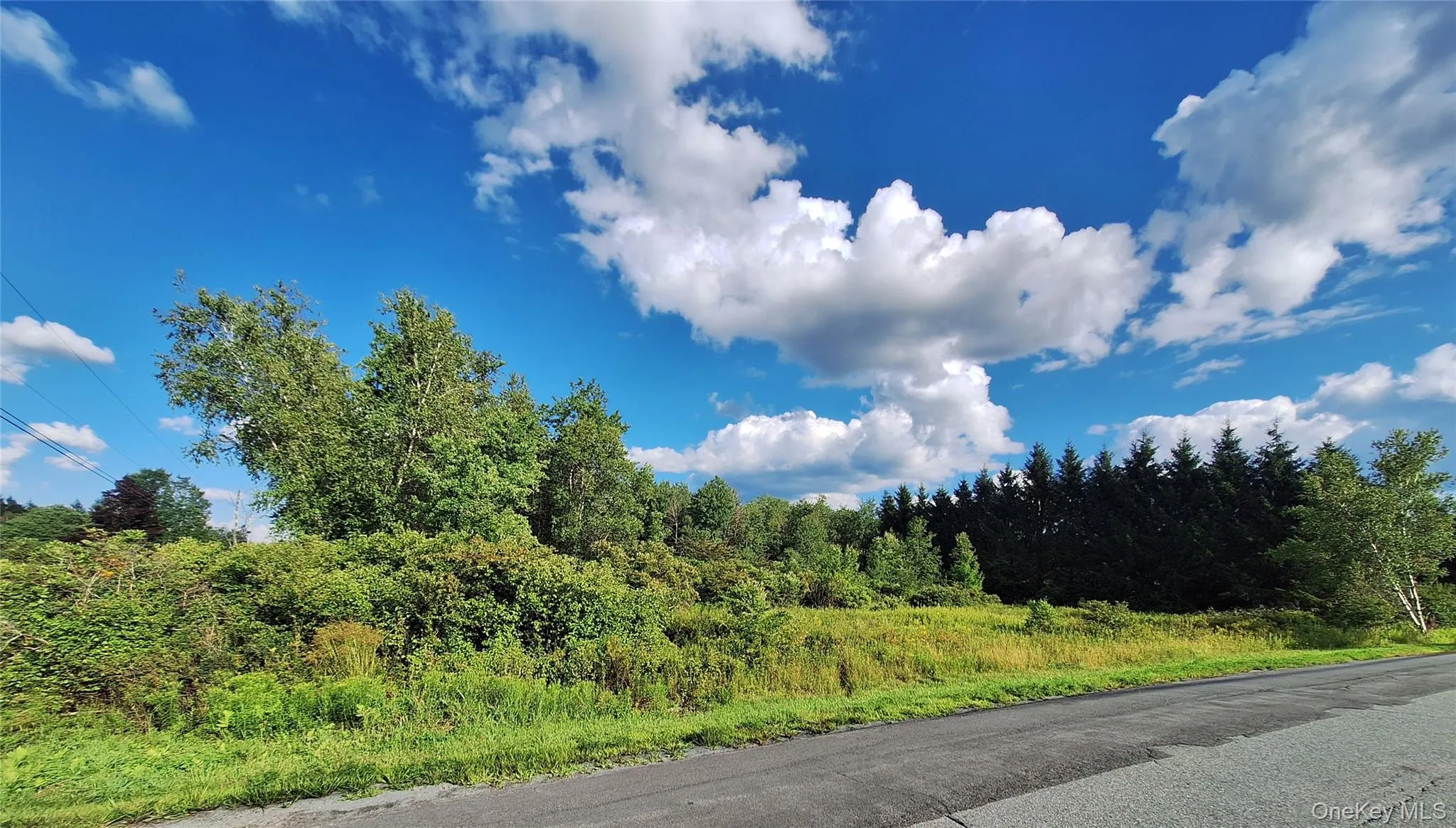 Burnt Ridge Road, Fallsburg, NY, ,Land,For Rent,Burnt Ridge,0,1035980 Burnt Ridge Road, Fallsburg, NY, ,Land,For Rent,Burnt Ridge,0,1035980