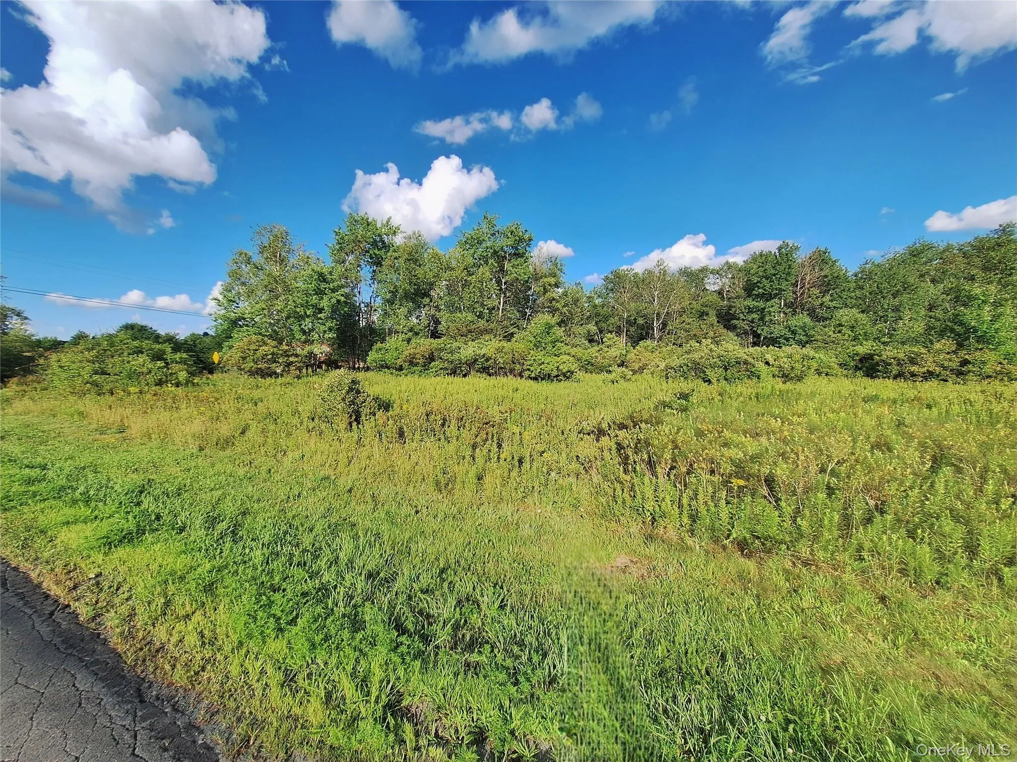 Burnt Ridge Road, Fallsburg, NY, ,Land,For Rent,Burnt Ridge,0,1035980 Burnt Ridge Road, Fallsburg, NY, ,Land,For Rent,Burnt Ridge,0,1035980