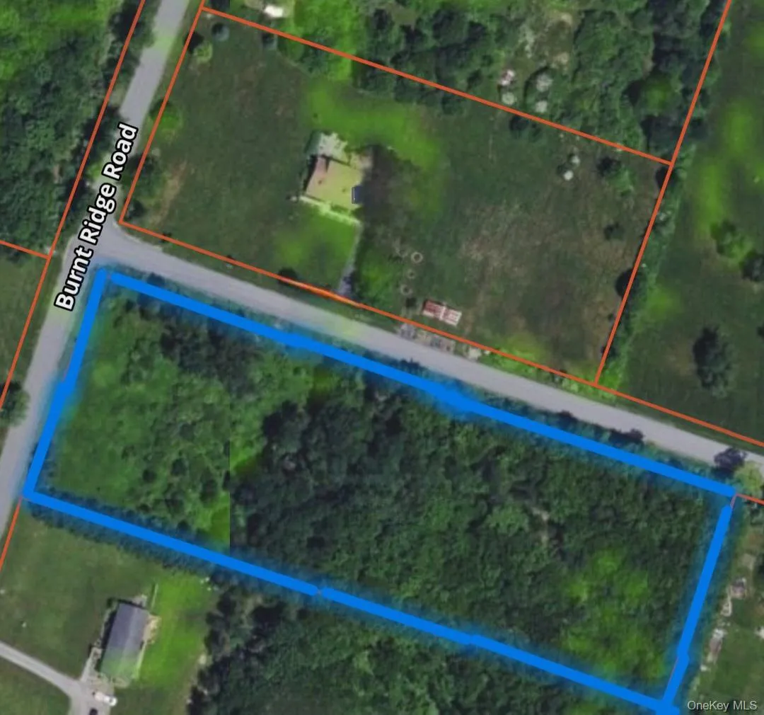 Burnt Ridge Road, Fallsburg, NY, ,Land,For Rent,Burnt Ridge,0,1035980 Burnt Ridge Road, Fallsburg, NY, ,Land,For Rent,Burnt Ridge,0,1035980