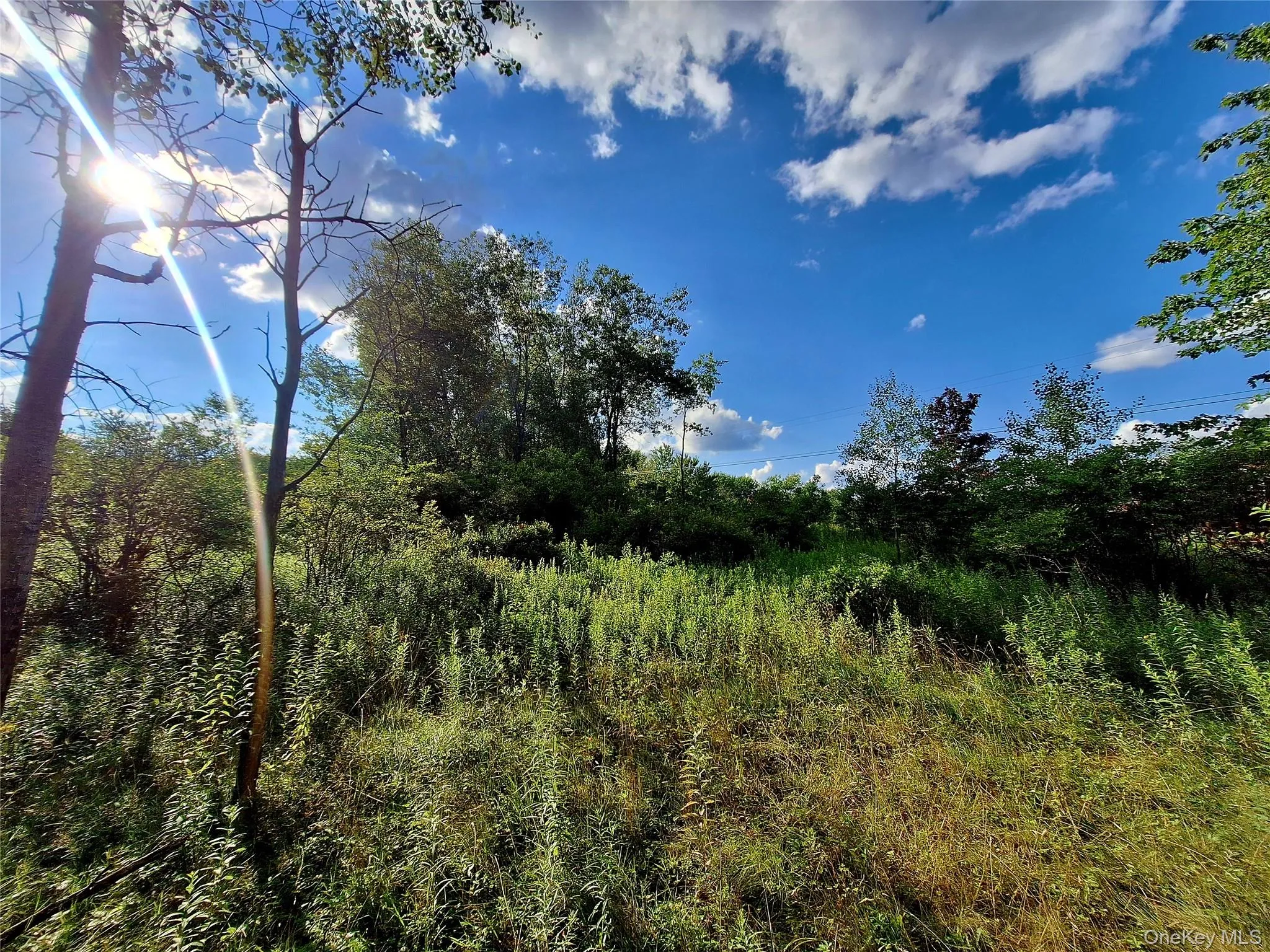 Burnt Ridge Road, Fallsburg, NY, ,Land,For Rent,Burnt Ridge,0,1035980 Burnt Ridge Road, Fallsburg, NY, ,Land,For Rent,Burnt Ridge,0,1035980