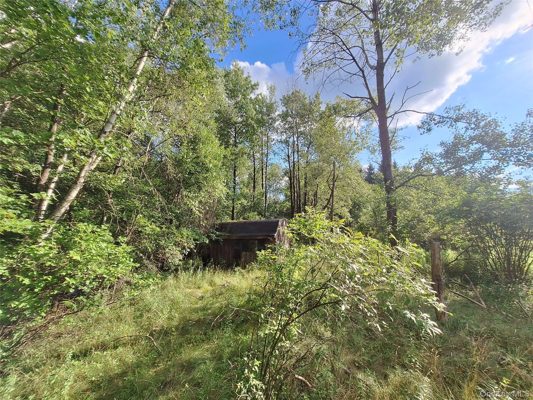 Burnt Ridge Road, Fallsburg, NY, ,Land,For Rent,Burnt Ridge,0,1035980 Burnt Ridge Road, Fallsburg, NY, ,Land,For Rent,Burnt Ridge,0,1035980