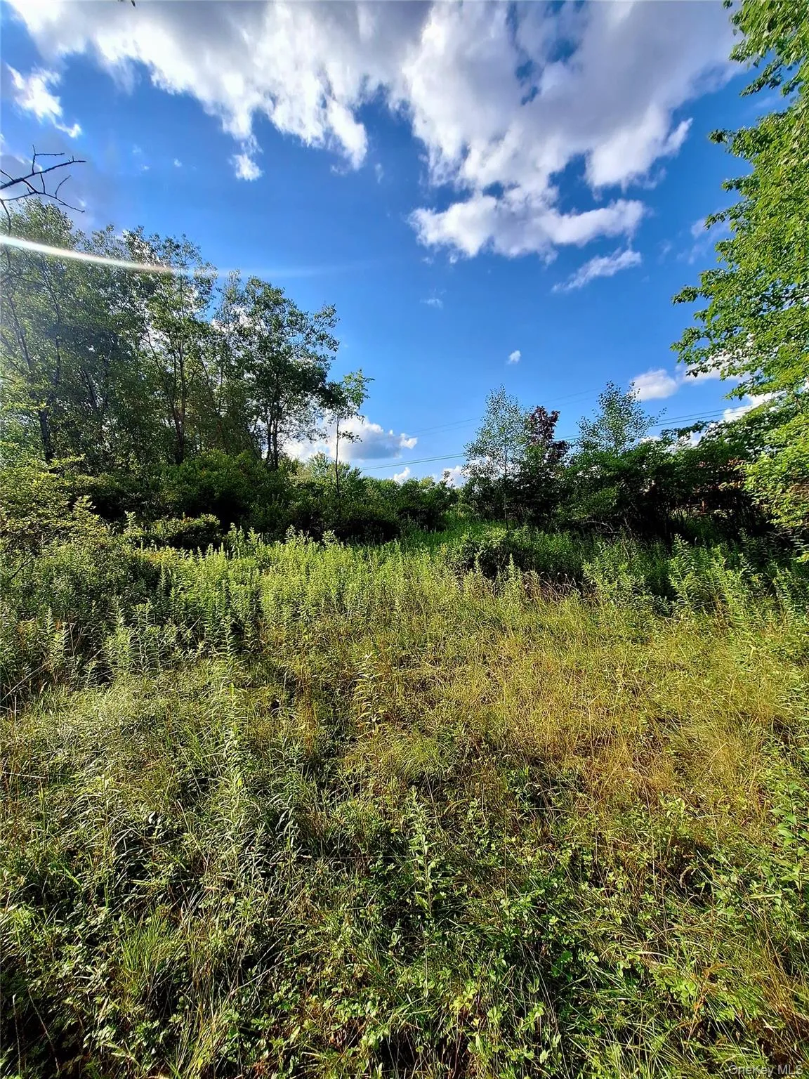 Burnt Ridge Road, Fallsburg, NY, ,Land,For Rent,Burnt Ridge,0,1035980 Burnt Ridge Road, Fallsburg, NY, ,Land,For Rent,Burnt Ridge,0,1035980
