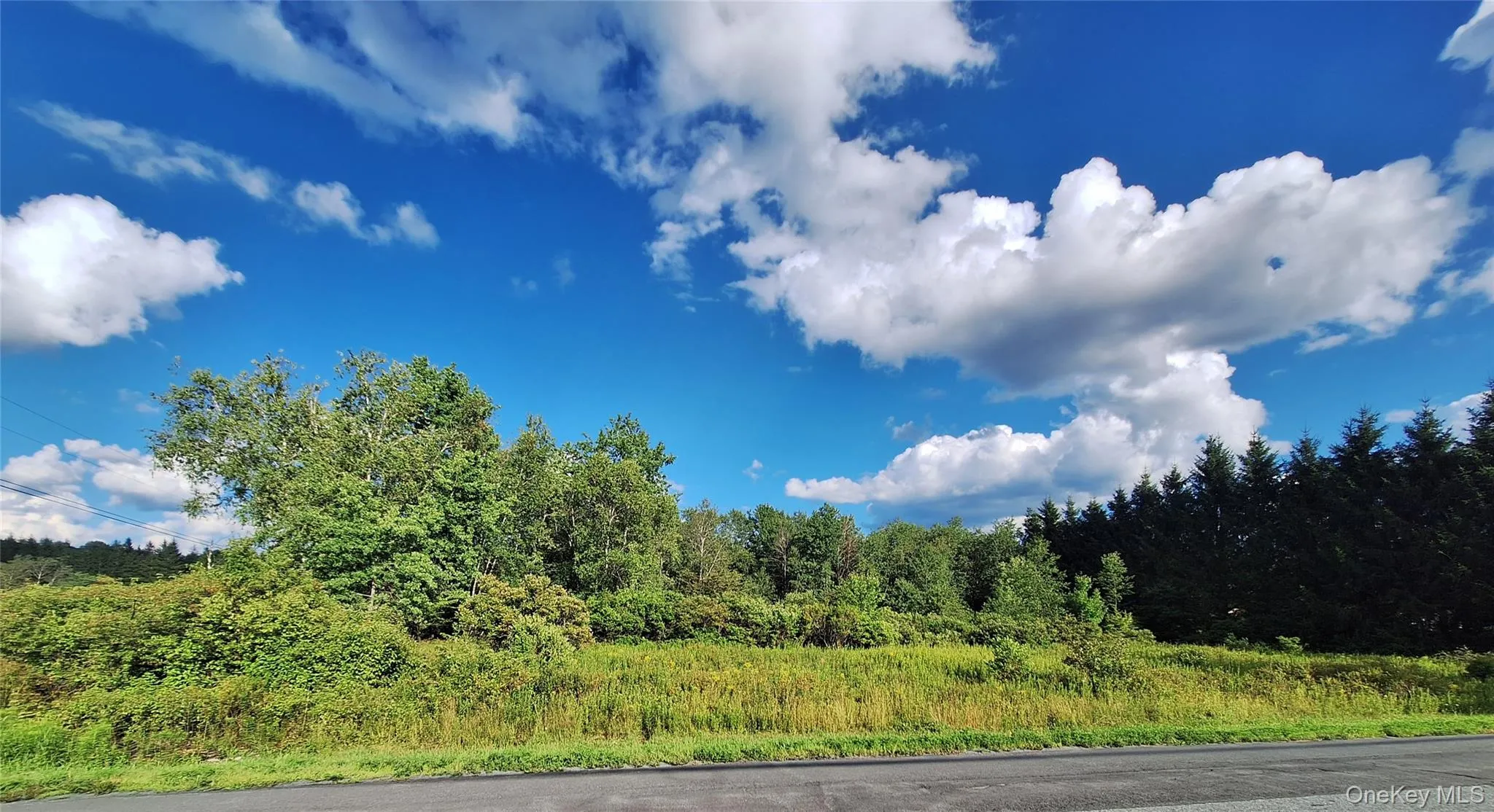 Burnt Ridge Road, Fallsburg, NY, ,Land,For Rent,Burnt Ridge,0,1035980 Burnt Ridge Road, Fallsburg, NY, ,Land,For Rent,Burnt Ridge,0,1035980